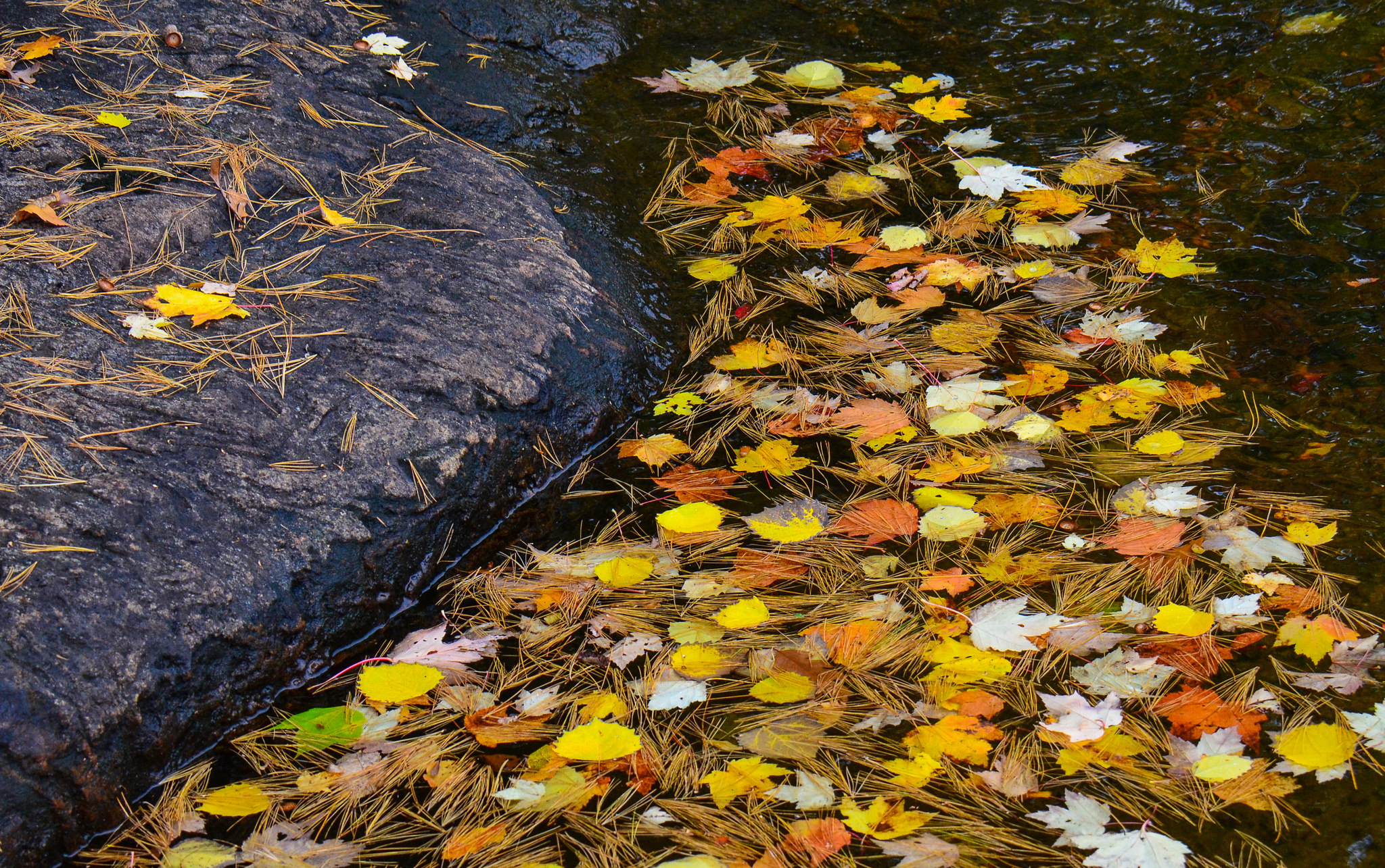 Download mobile wallpaper Nature, Water, Leaf, Fall, Earth, Stream for free.