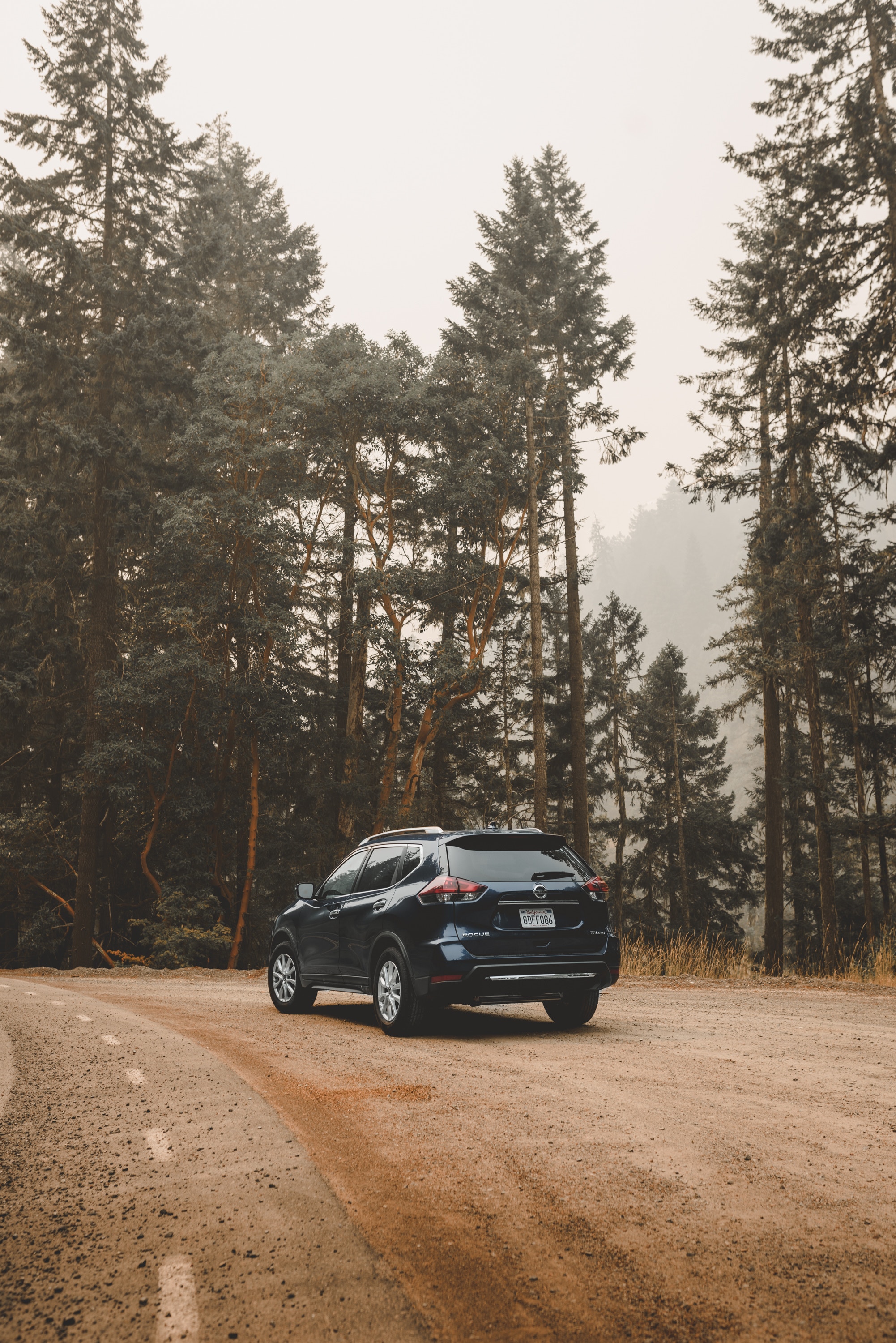 trees, nissan, cars, nissan rogue, crossover, trip