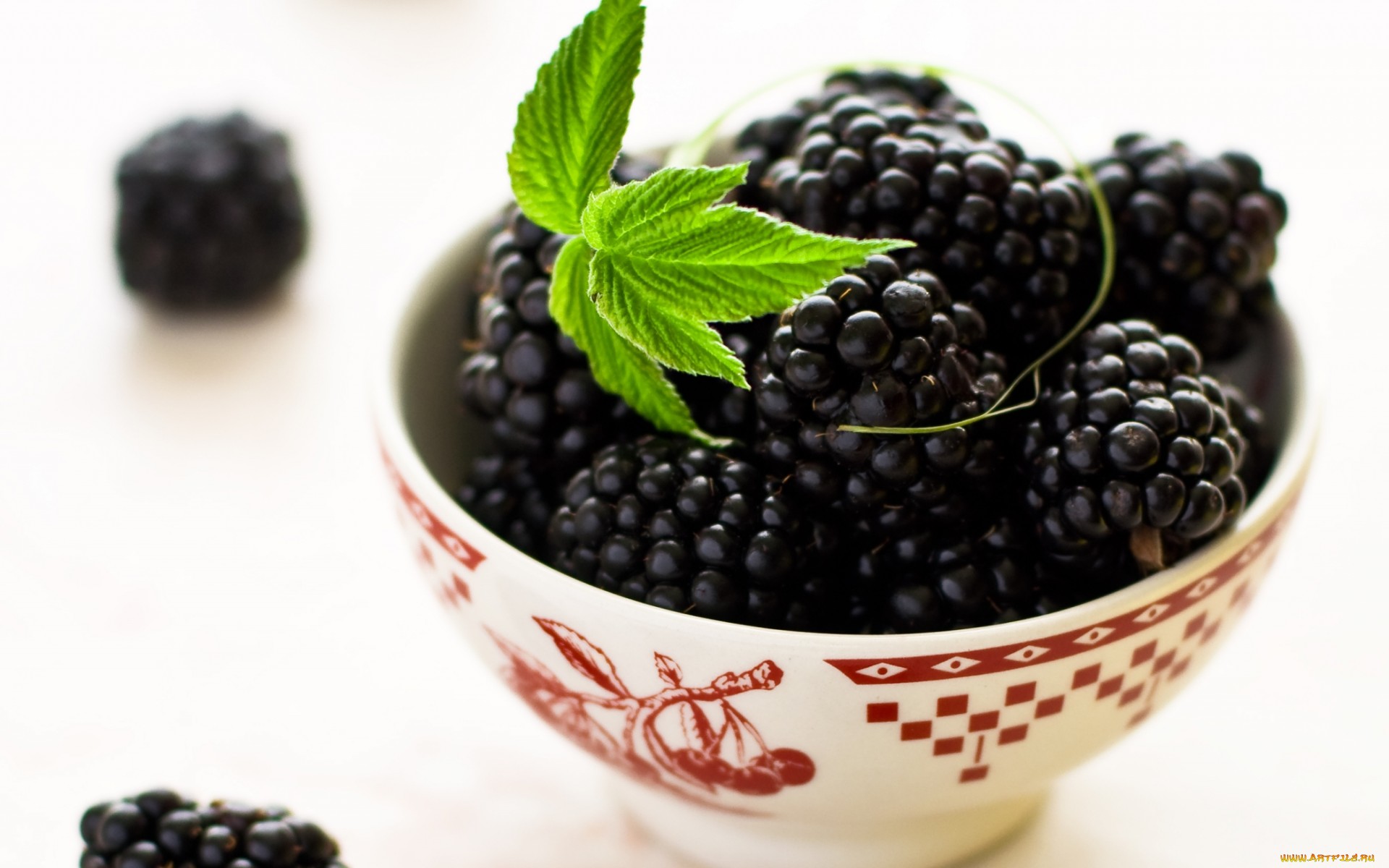 food, blackberry