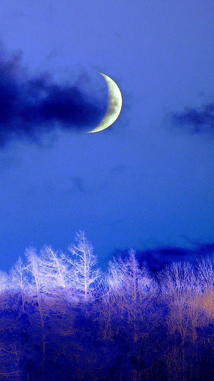 Download mobile wallpaper Winter, Night, Moon, Tree, Earth, Cloud, Crescent for free.