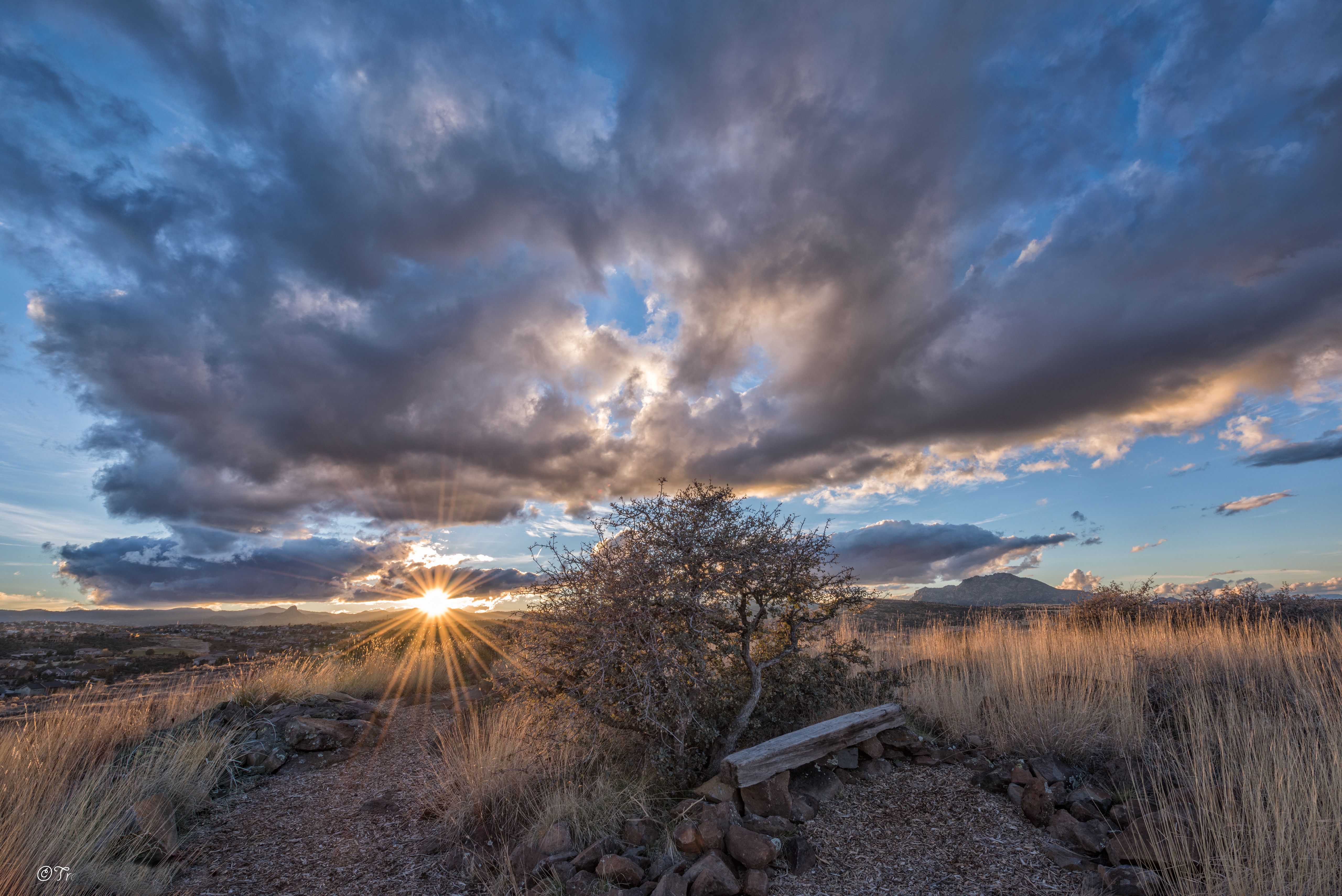 Descarga gratuita de fondo de pantalla para móvil de Paisaje, Árbol, Atardecer, Rayo De Sol, Tierra/naturaleza.