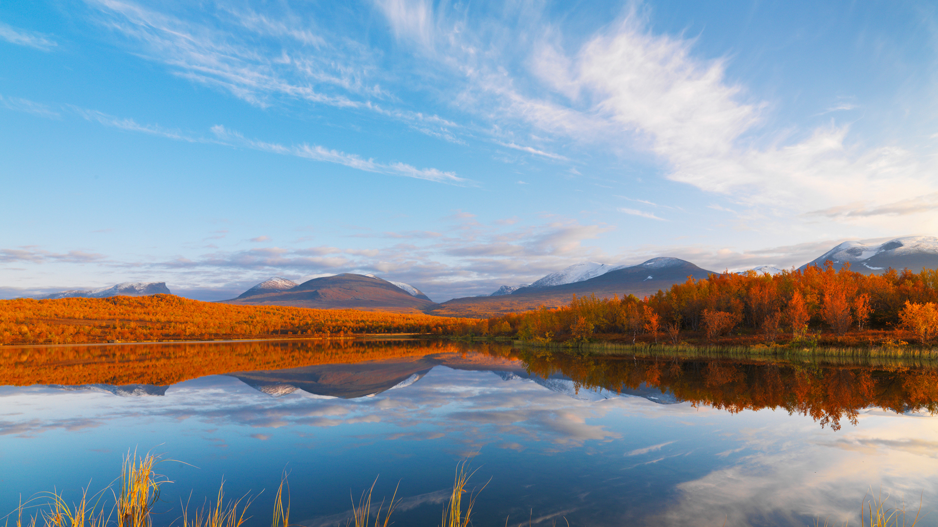 Descarga gratuita de fondo de pantalla para móvil de Tierra/naturaleza, Reflejo.