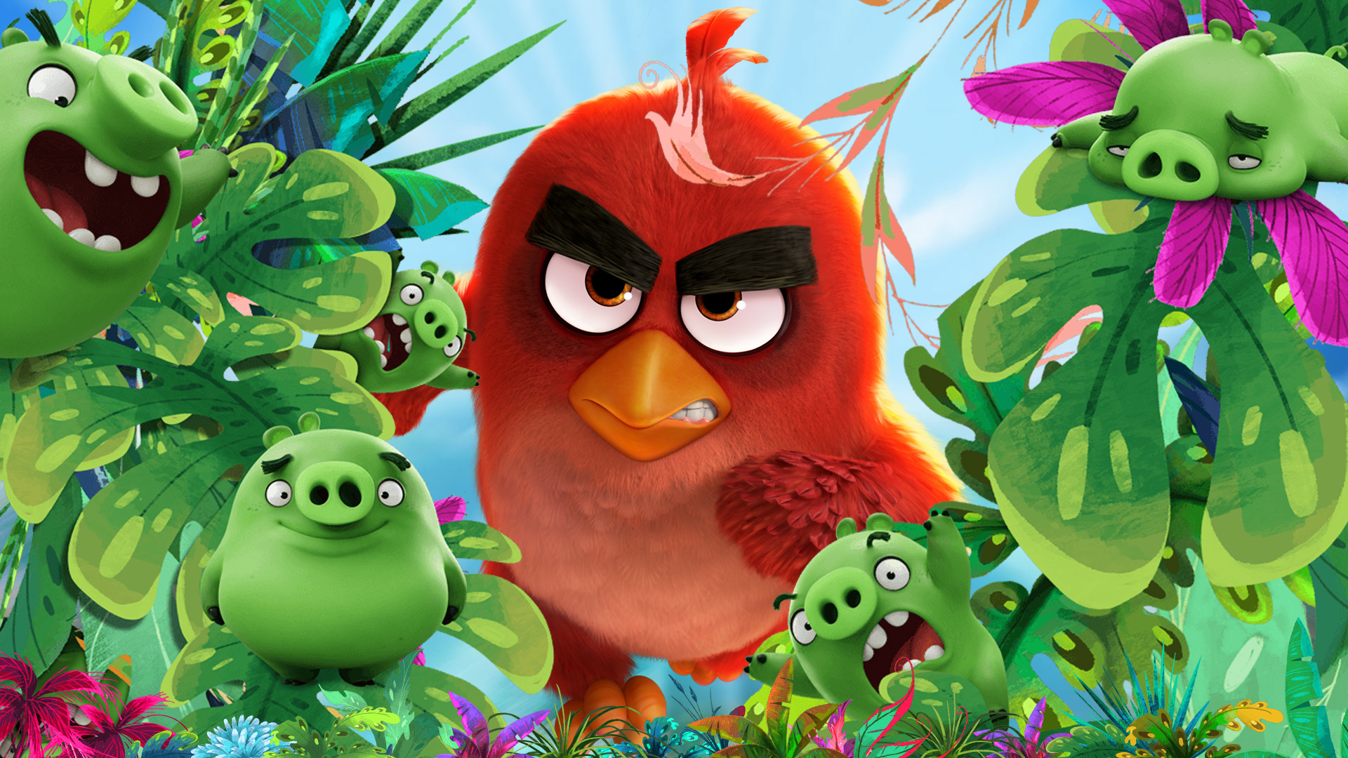 angry birds, the angry birds movie, movie HD wallpaper