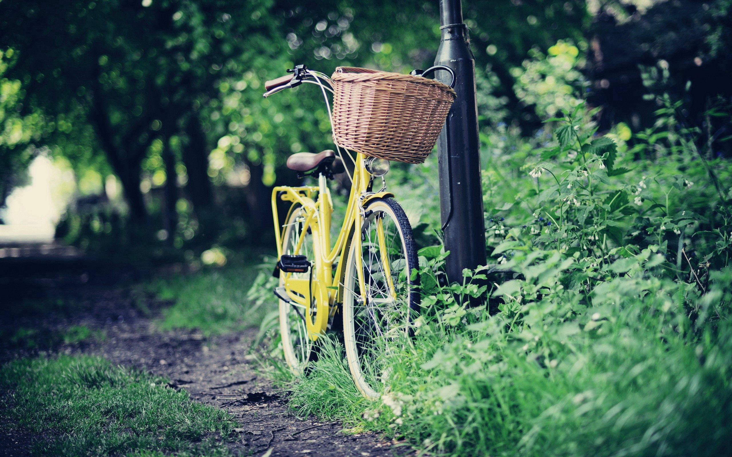 Free download wallpaper Miscellanea, Stroll, Basket, Nature, Miscellaneous, Bicycle on your PC desktop