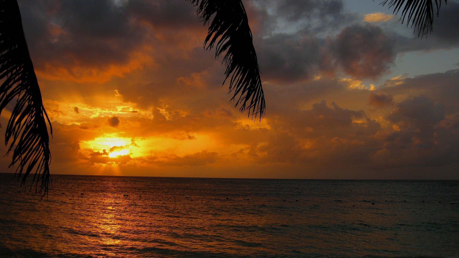 Laden Sie das Horizont, Ozean, Tropisch, Meer, Sonnenuntergang, Erde/natur-Bild kostenlos auf Ihren PC-Desktop herunter