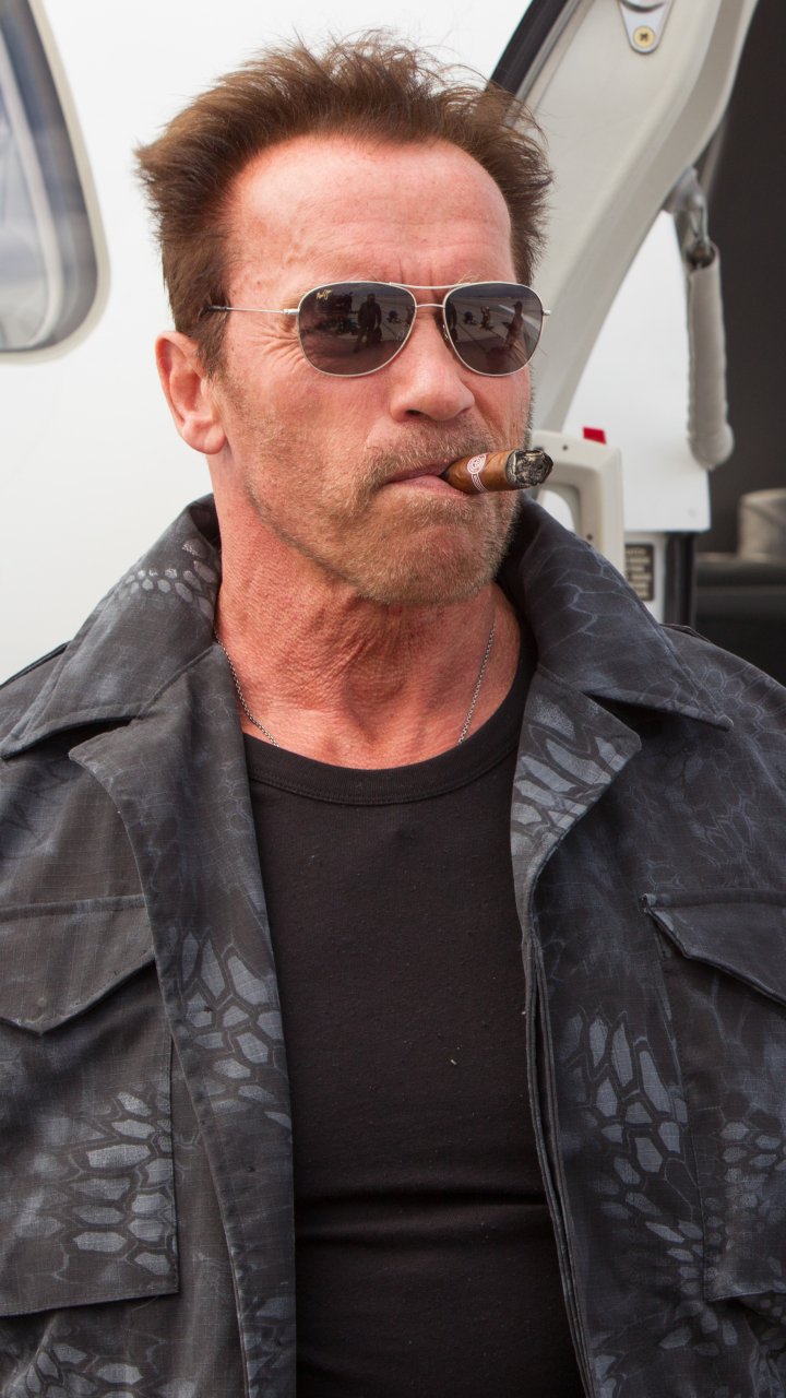 Handy-Wallpaper Arnold Schwarzenegger, Filme, The Expendables, Graben (Die Verbrauchsgüter), The Expendables 3 kostenlos herunterladen.