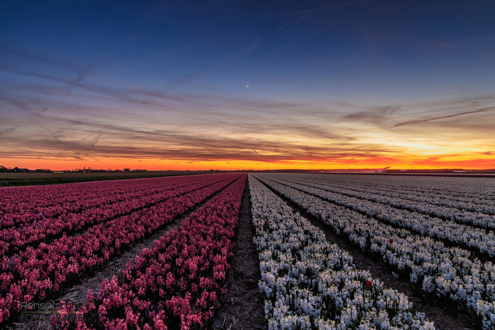 Handy-Wallpaper Blumen, Blume, Erde/natur kostenlos herunterladen.