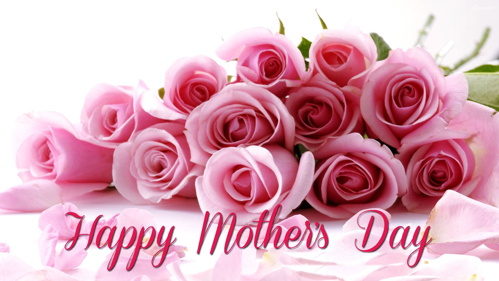 748374画像をダウンロードホリデー, 母の日, 花, ピンクのバラ, 薔薇-壁紙とスクリーンセーバーを無料で