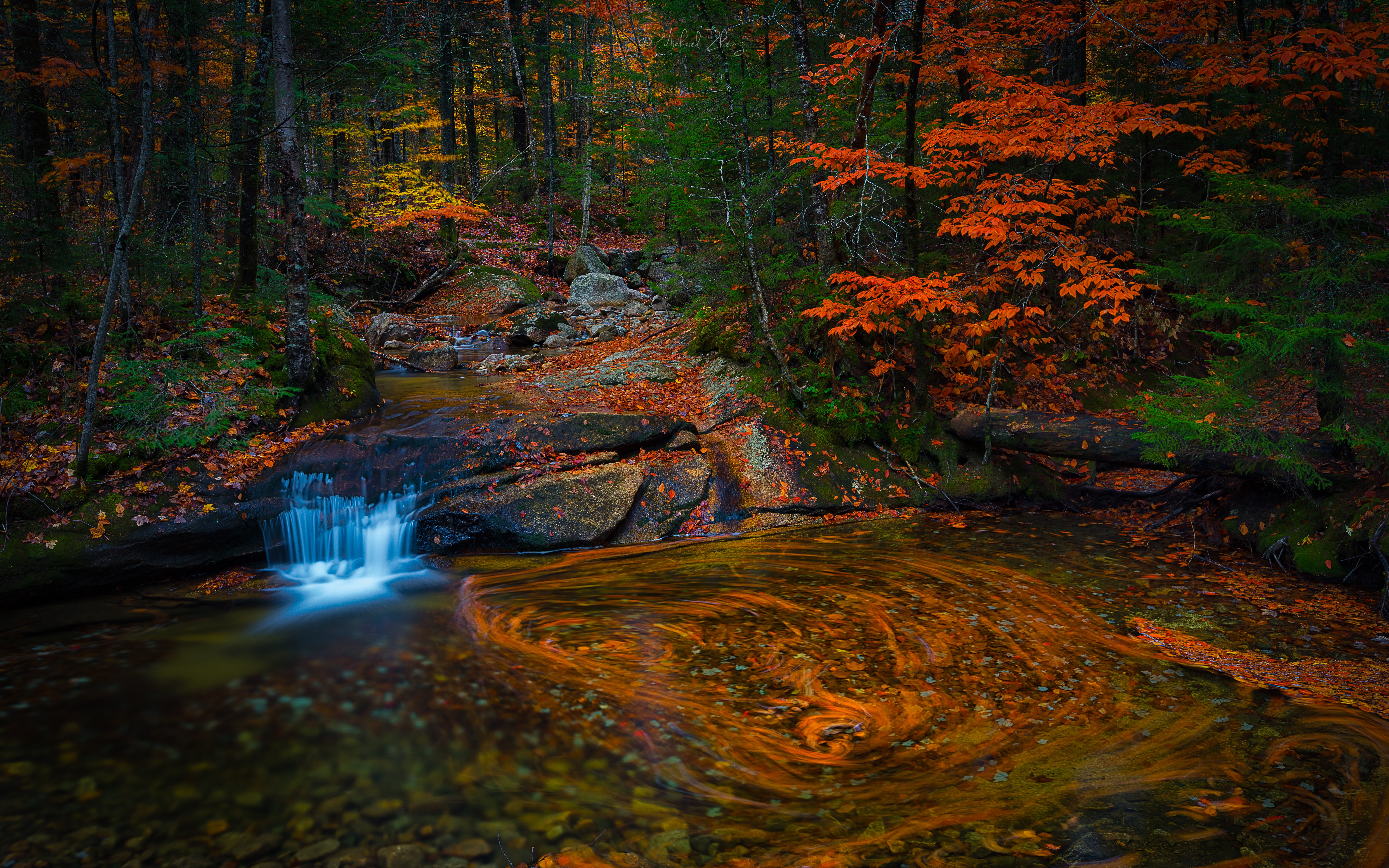 Скачать обои бесплатно Природа, Осень, Лес, Ручей, Земля/природа картинка на рабочий стол ПК