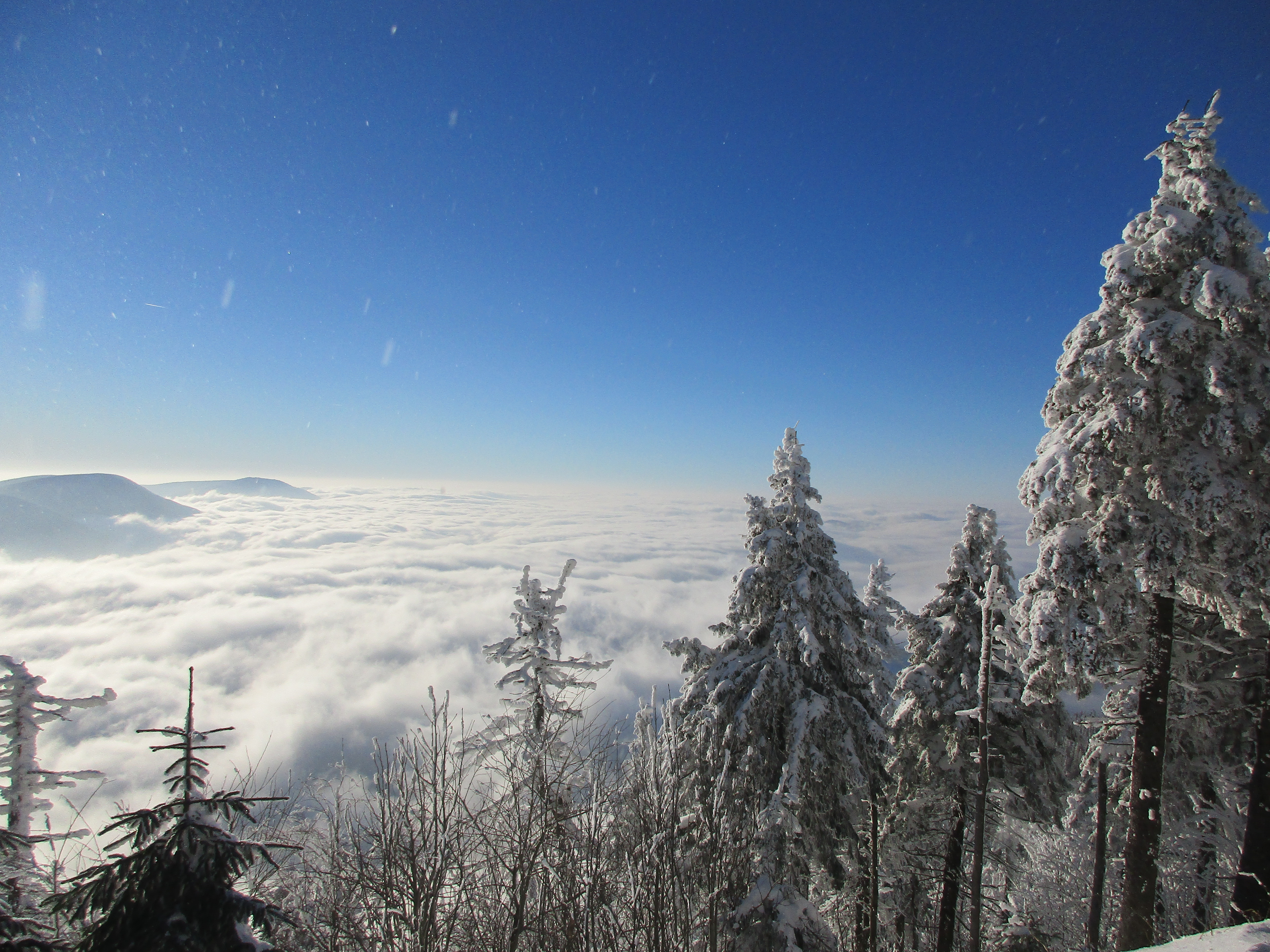 Baixe gratuitamente a imagem Paisagem, Inverno, Neve, Árvore, Nuvem, Terra/natureza na área de trabalho do seu PC