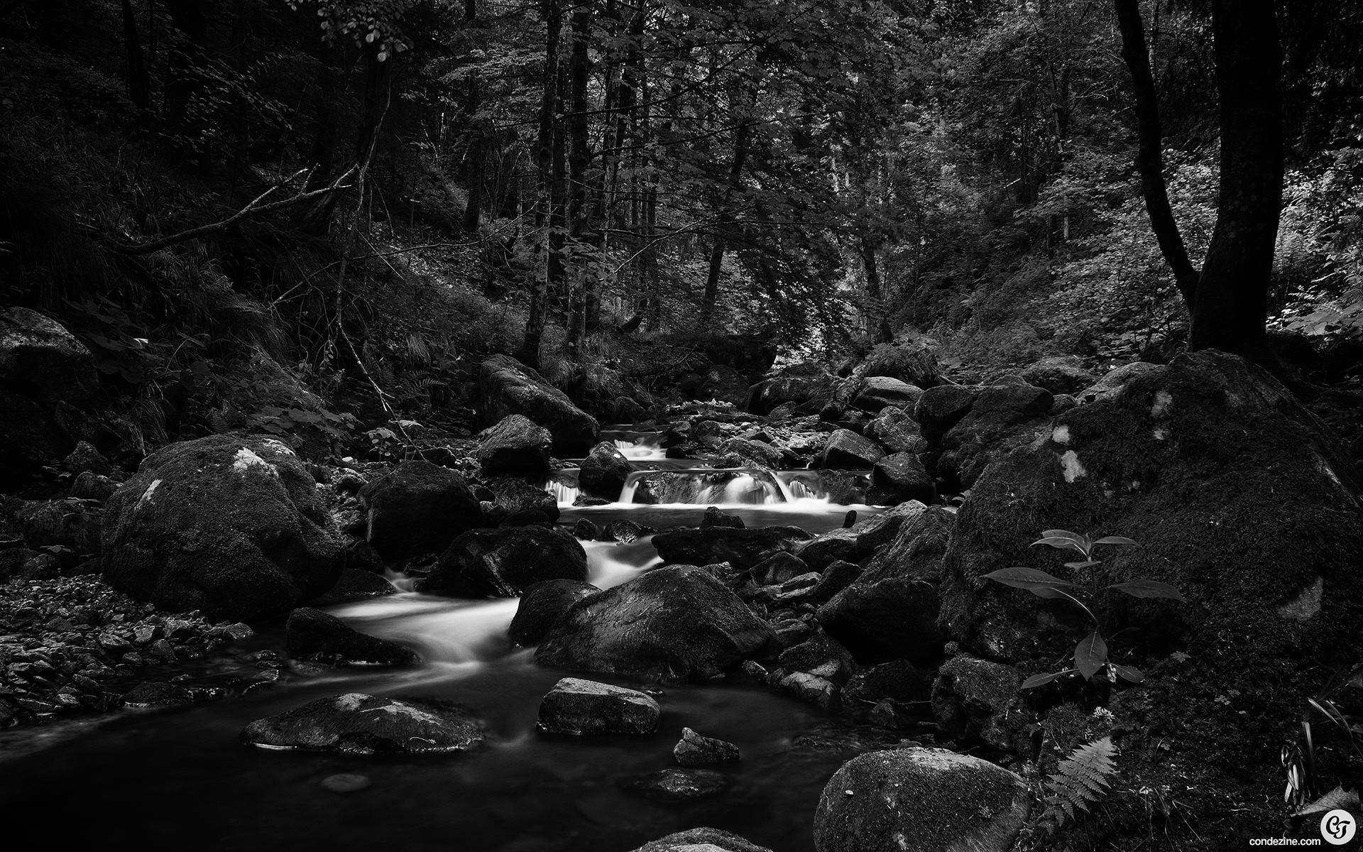 Download mobile wallpaper Landscape, Forest, Stream, River, Photography, Scenic, Black & White for free.