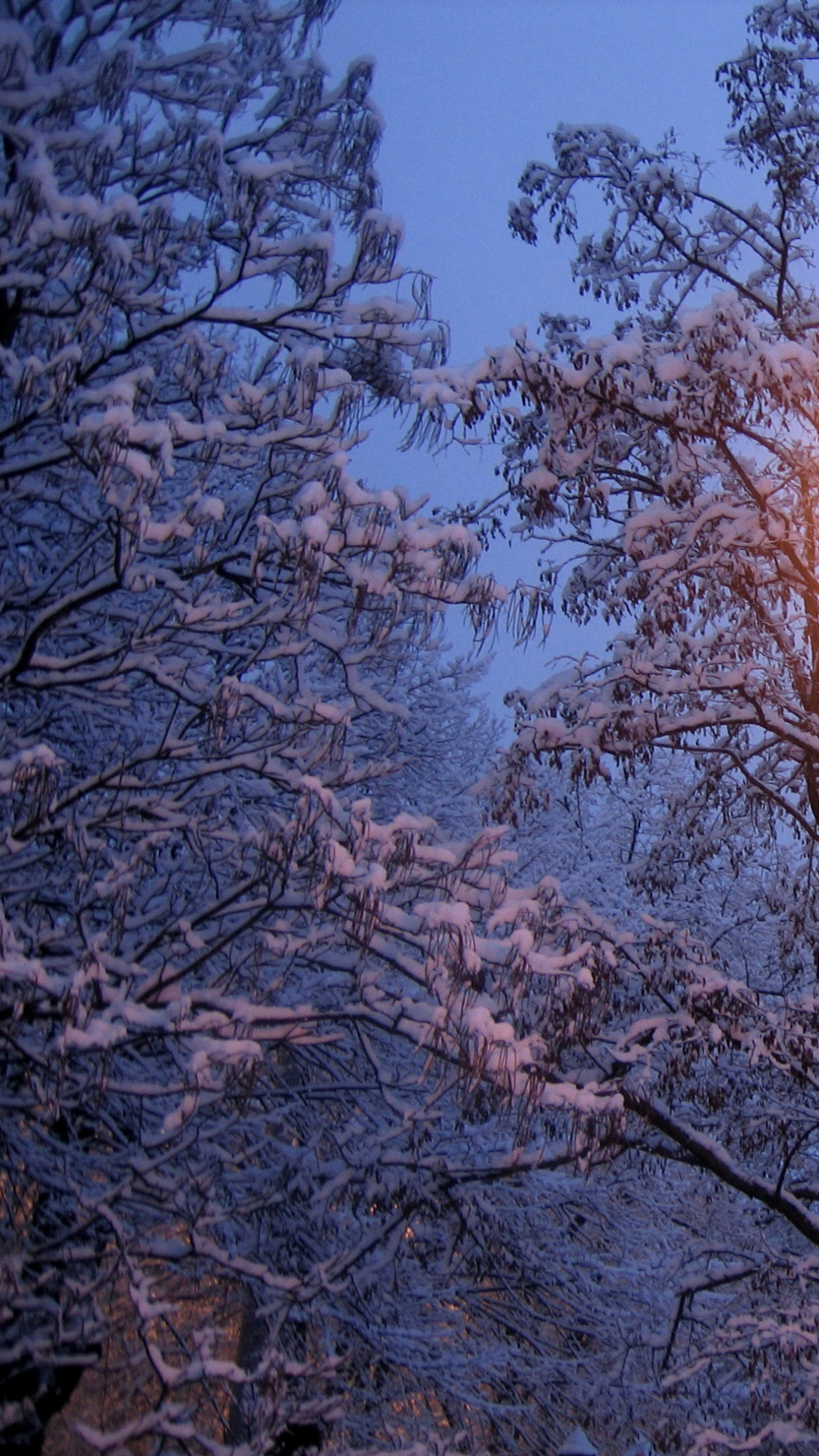 Baixar papel de parede para celular de Inverno, Fotografia gratuito.