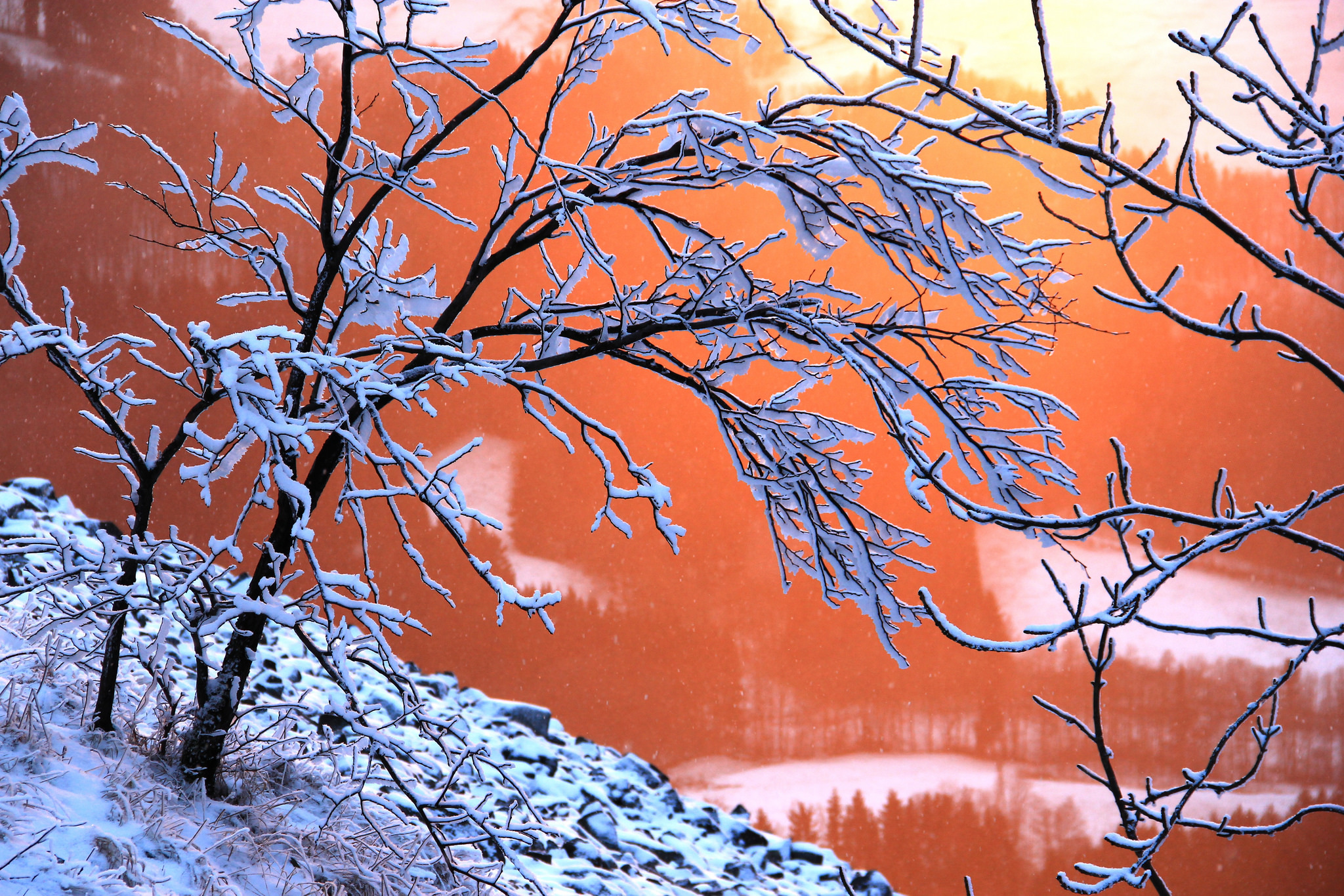 Free download wallpaper Winter, Nature, Snow, Earth on your PC desktop