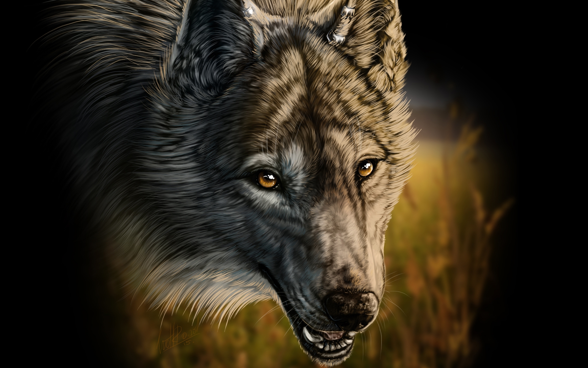 PCデスクトップに動物, オオカミ, 狼, 顔画像を無料でダウンロード