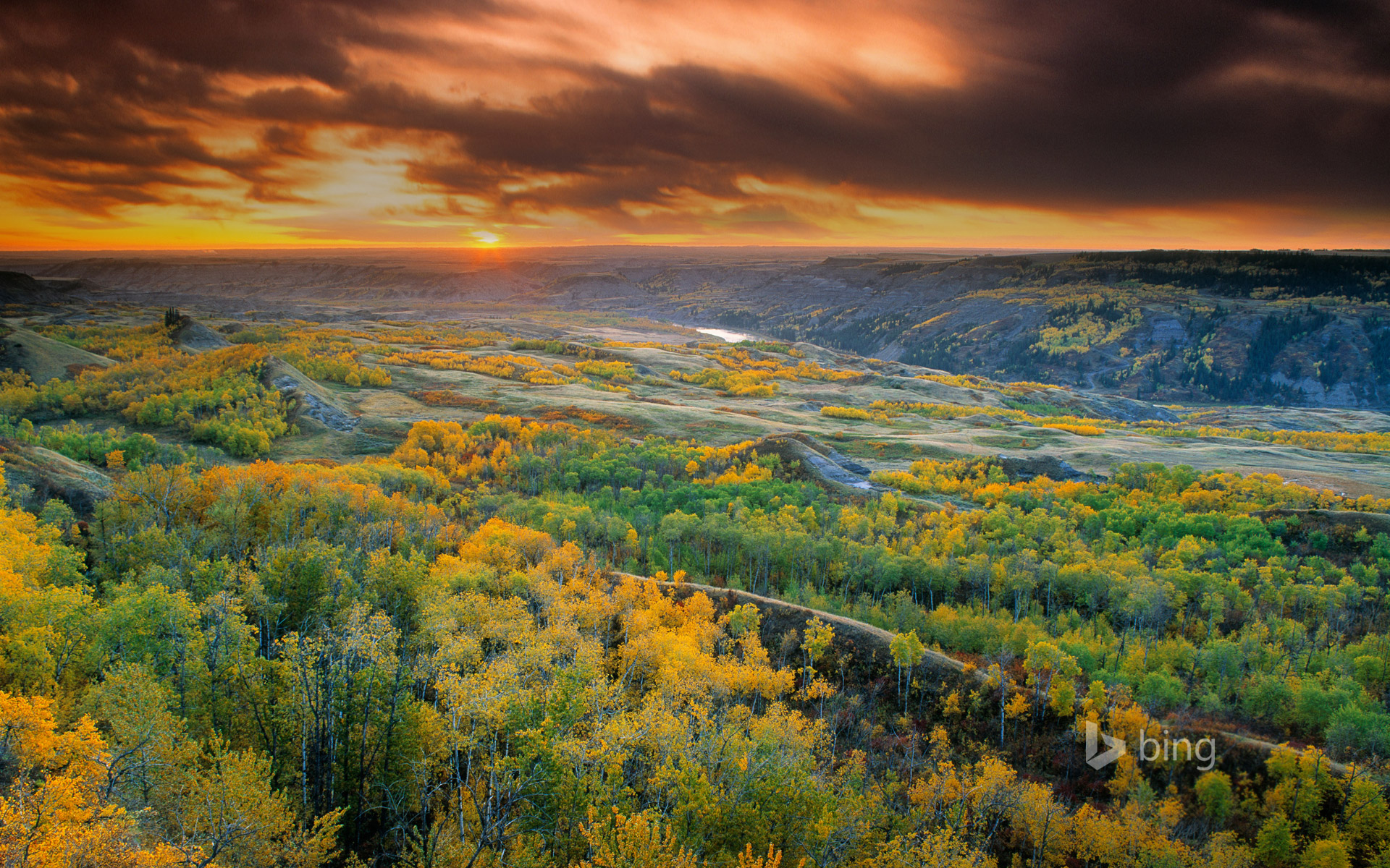 Free download wallpaper Landscape, Forest, Earth on your PC desktop