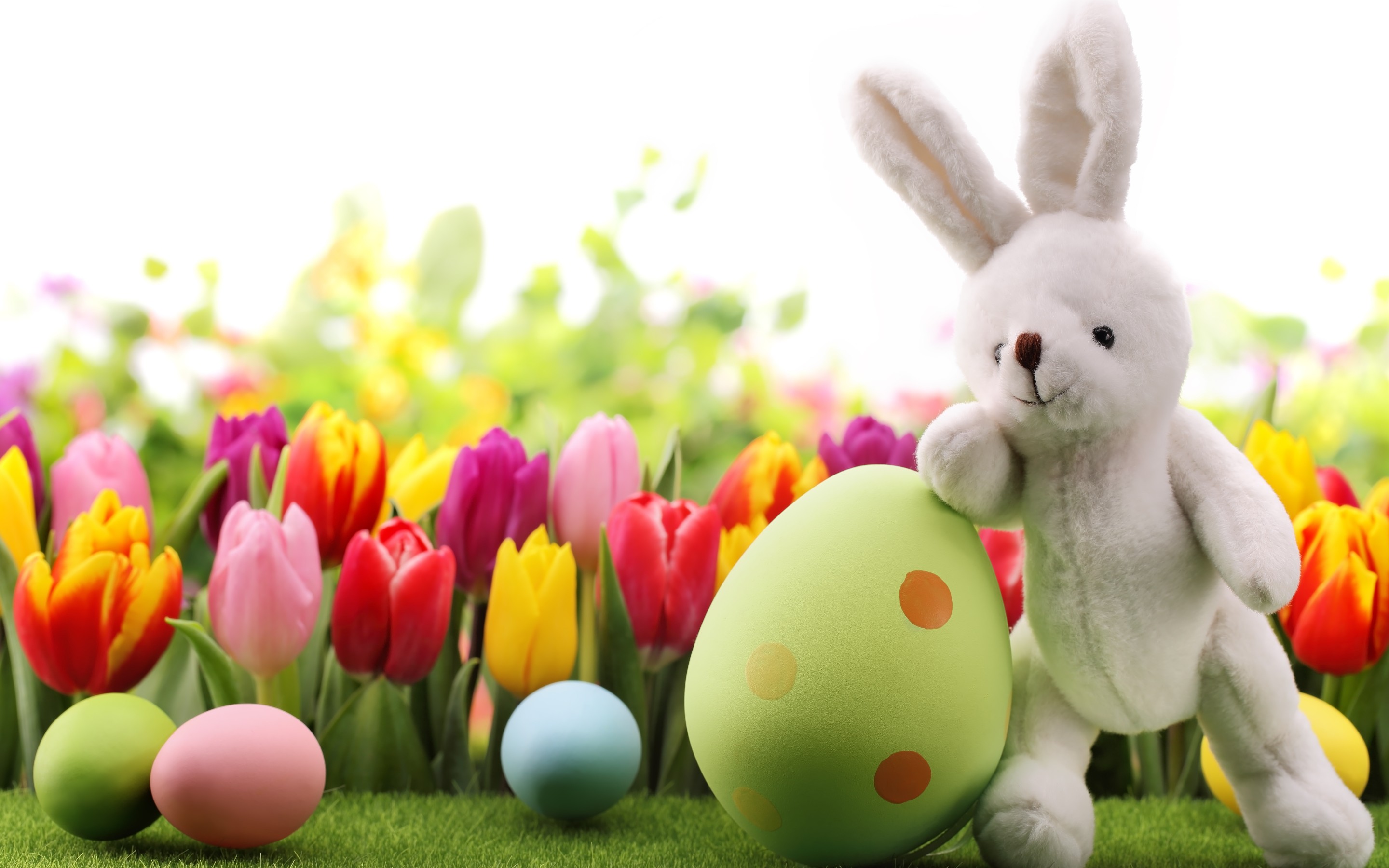 Download mobile wallpaper Easter, Flower, Holiday, Egg, Bunny for free.