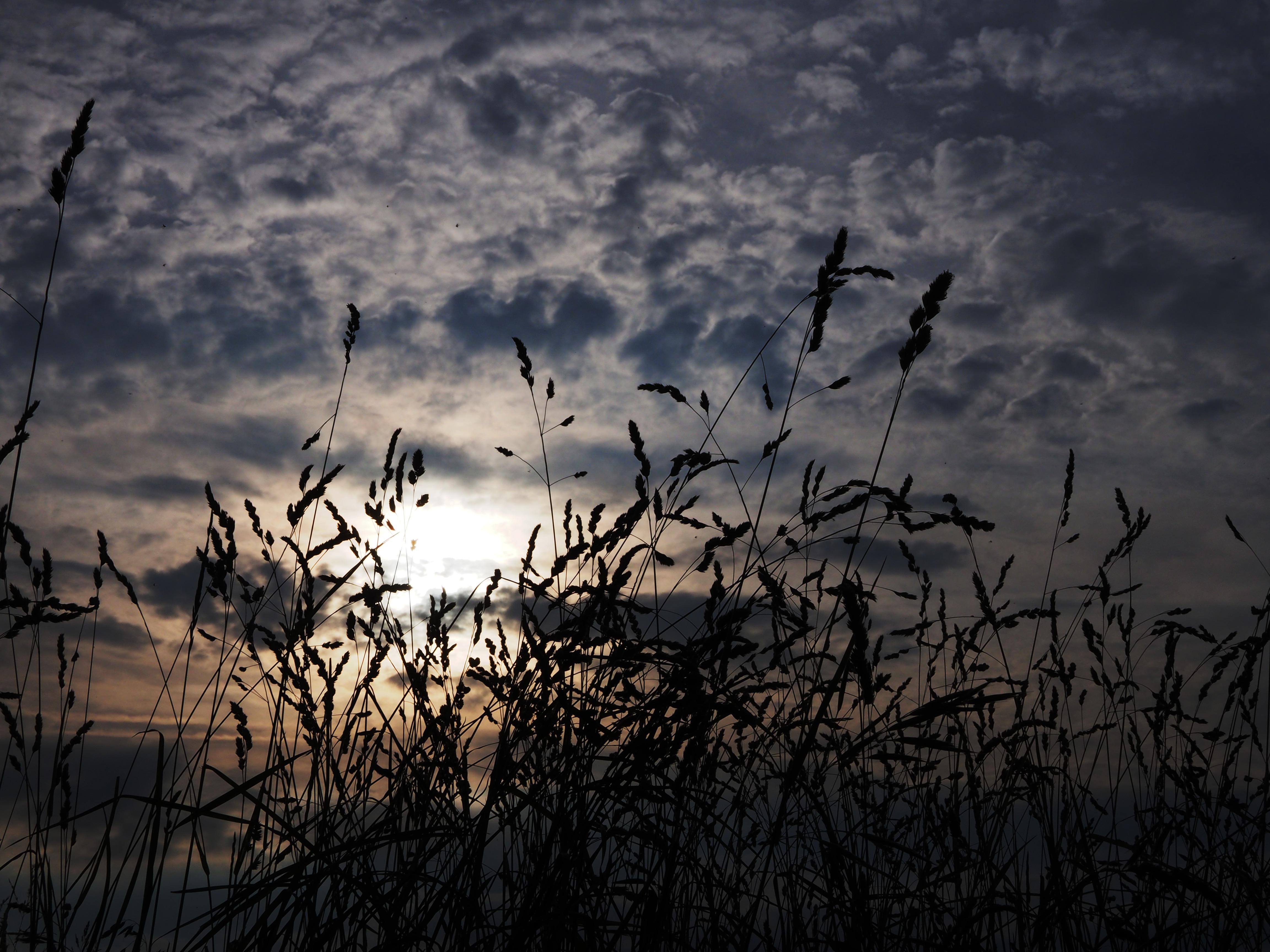 Free download wallpaper Nature, Sunset, Grass, Sky, Twilight, Earth, Cloud on your PC desktop