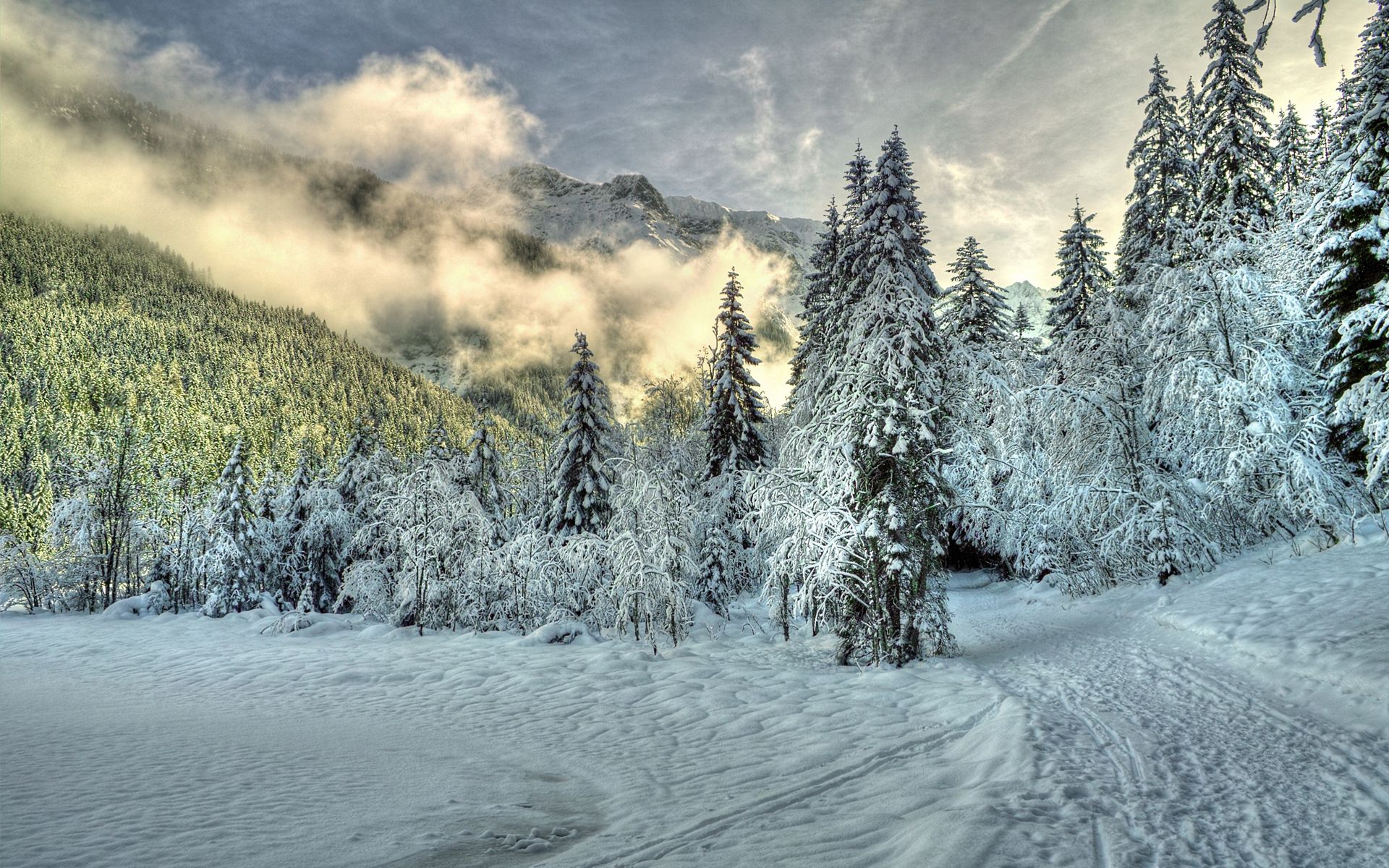 153490 descargar imagen invierno, naturaleza, nubes, nieve, bosque, niebla, abeto, las colinas, colinas: fondos de pantalla y protectores de pantalla gratis