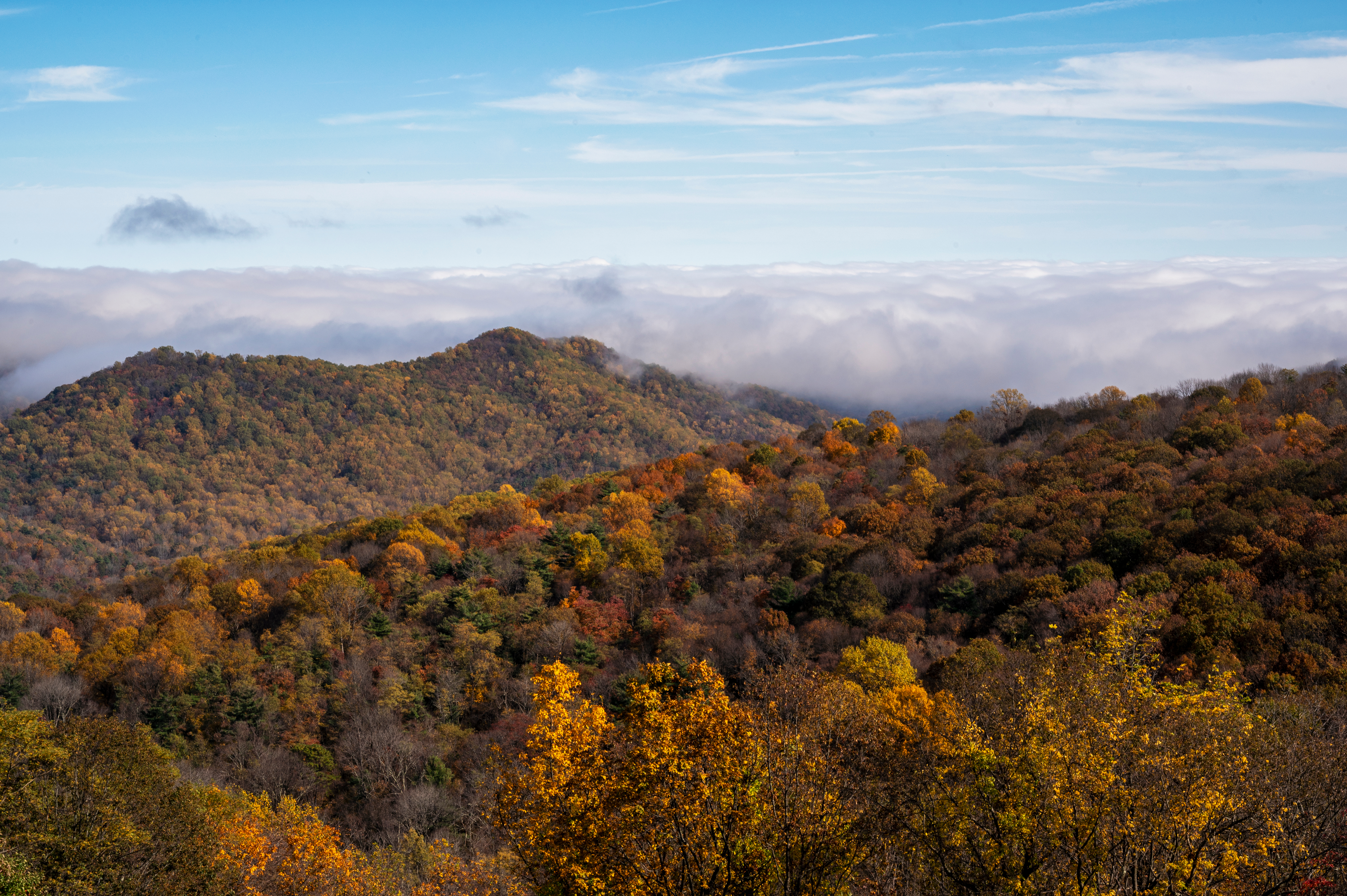 Handy-Wallpaper Natur, Mountains, Clouds, Wald, Landschaft, Herbst kostenlos herunterladen.