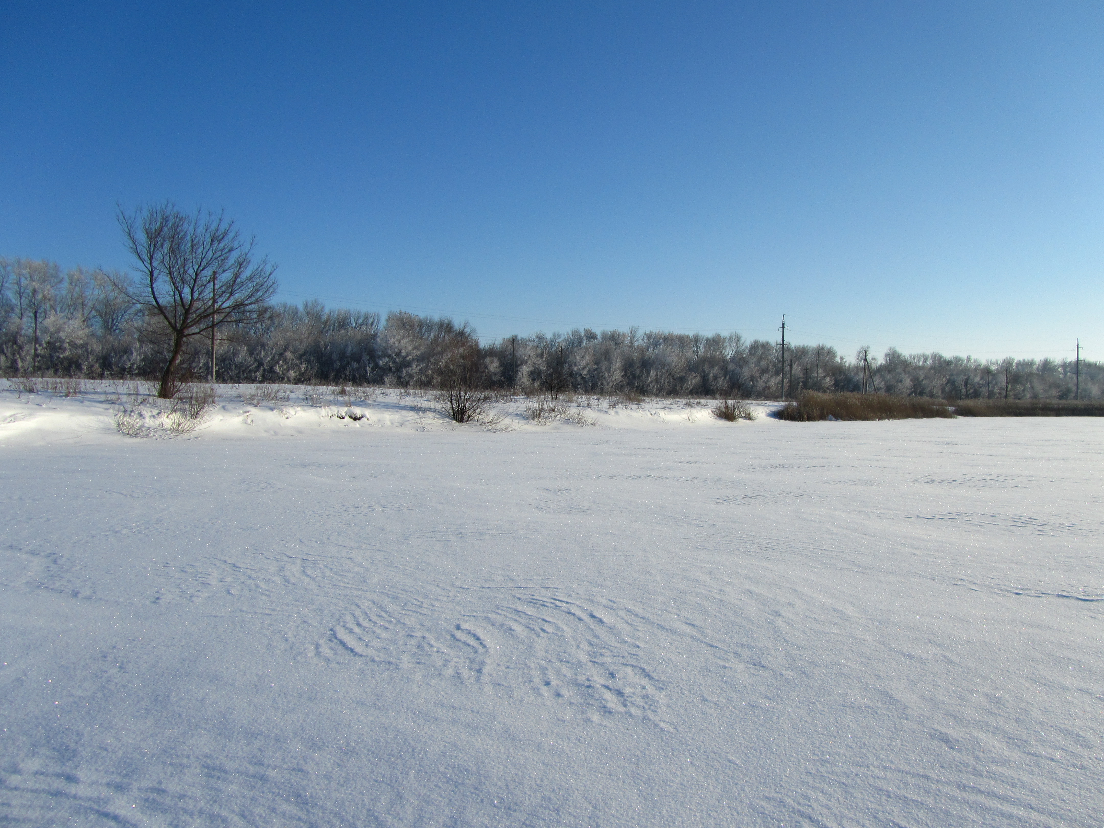 Téléchargez des papiers peints mobile Hiver, Terre/nature gratuitement.