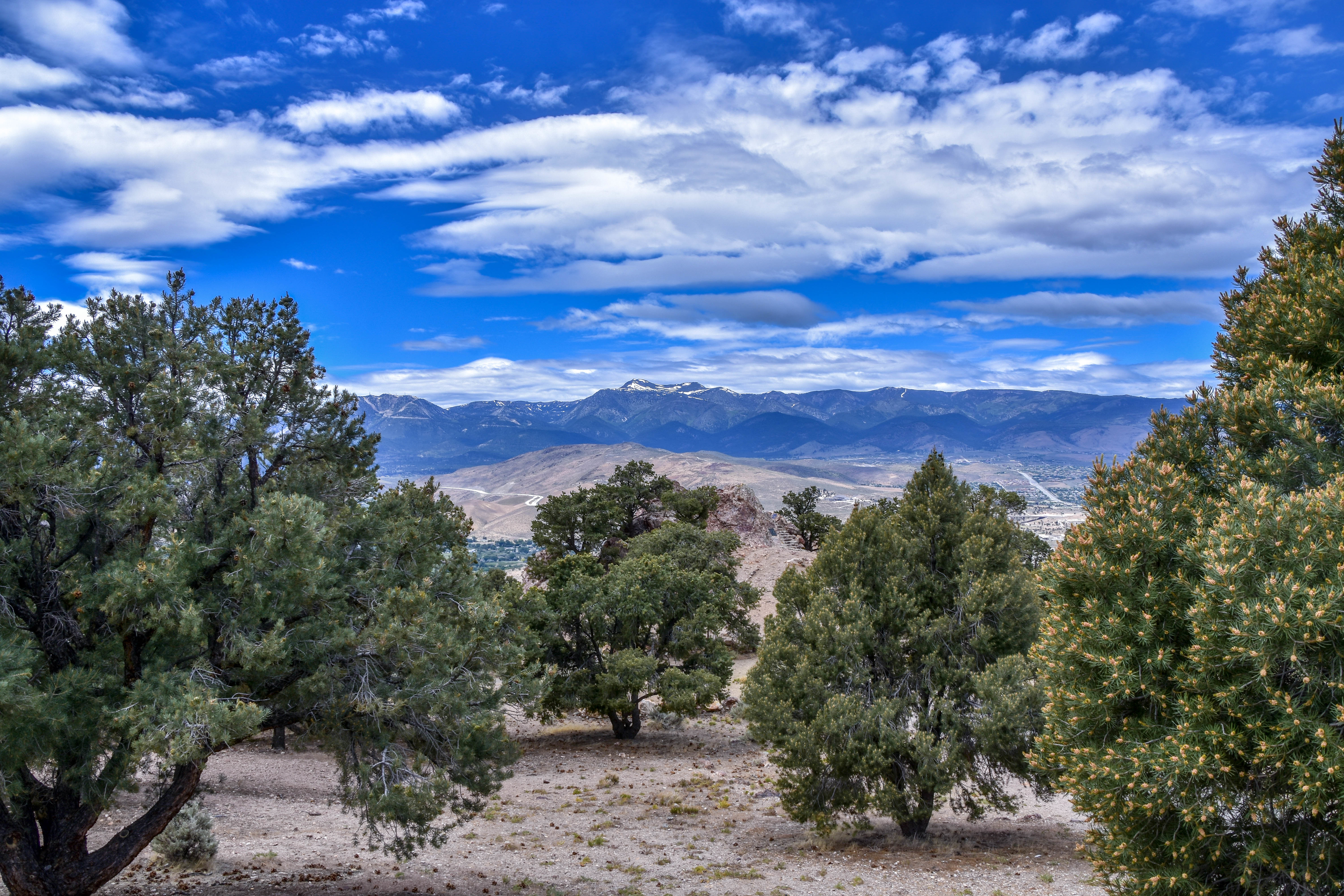 Free download wallpaper Nature, Trees, Dahl, Sky, Mountains, Distance on your PC desktop