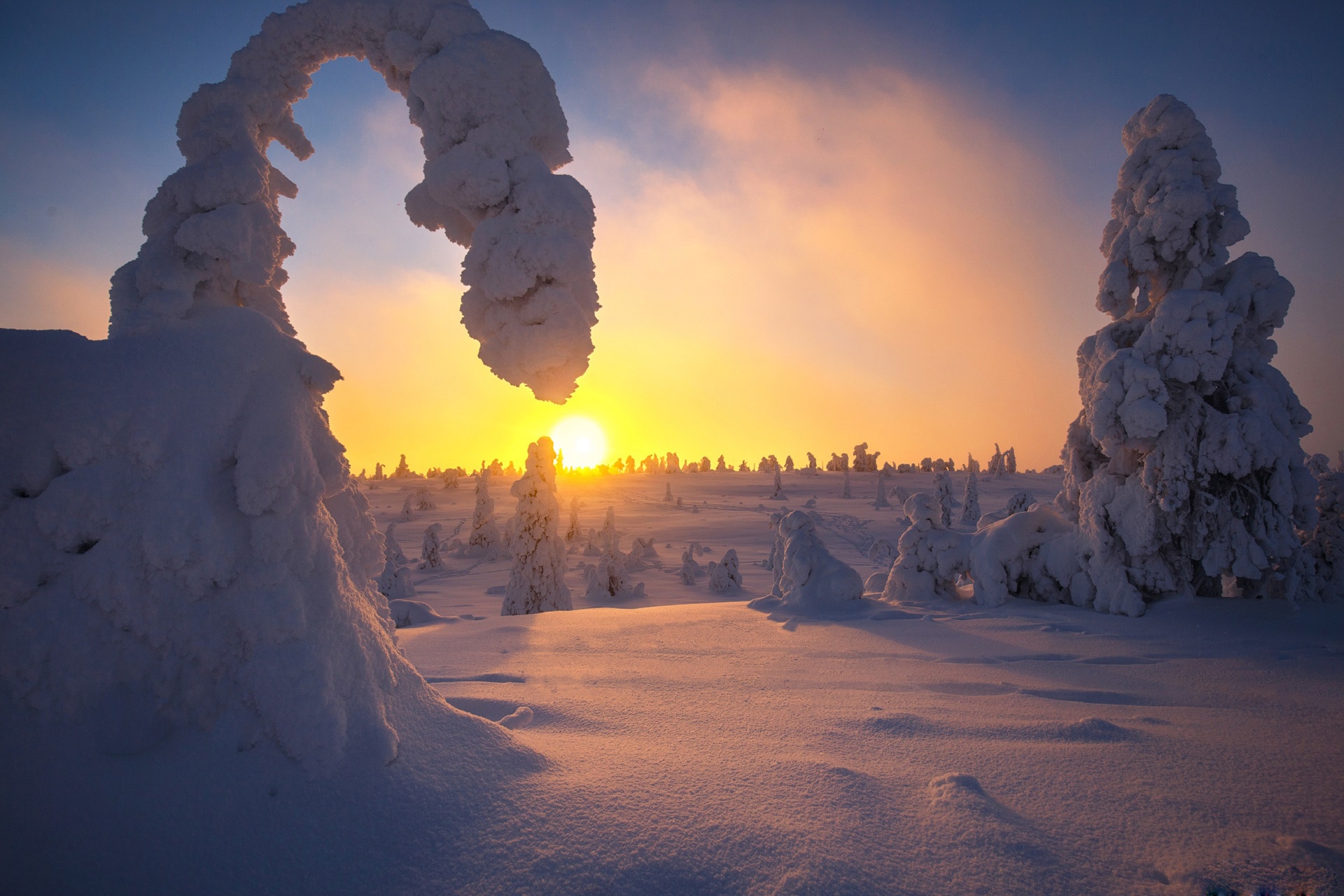 Завантажити шпалери безкоштовно Зима, Природа, Небо, Сніг, Дерево, Земля, Захід Сонця картинка на робочий стіл ПК
