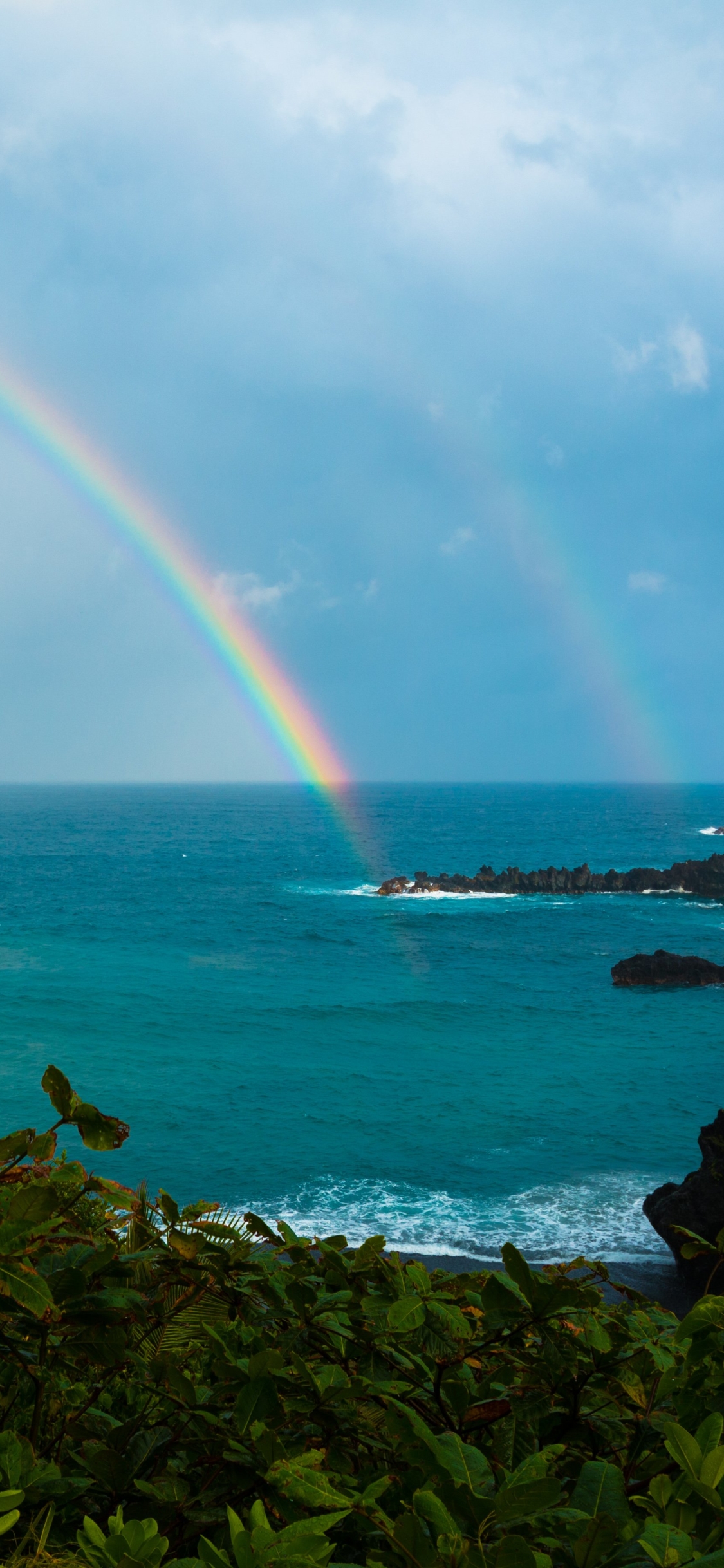 hawaii, earth, rainbow, nature, horizon, palm tree, shrub, tropical, ocean