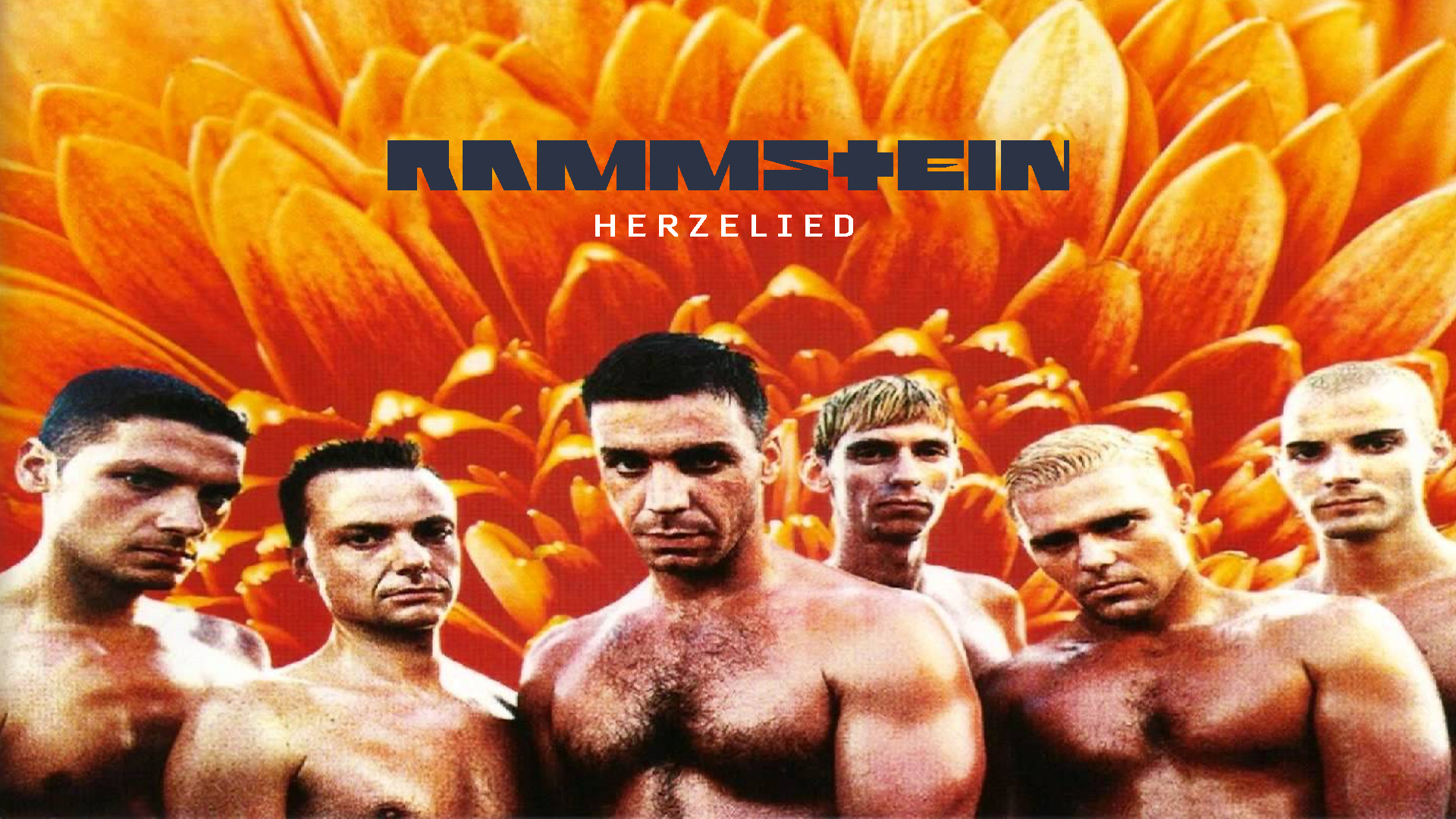 Baixar papel de parede para celular de Música, Rammstein gratuito.