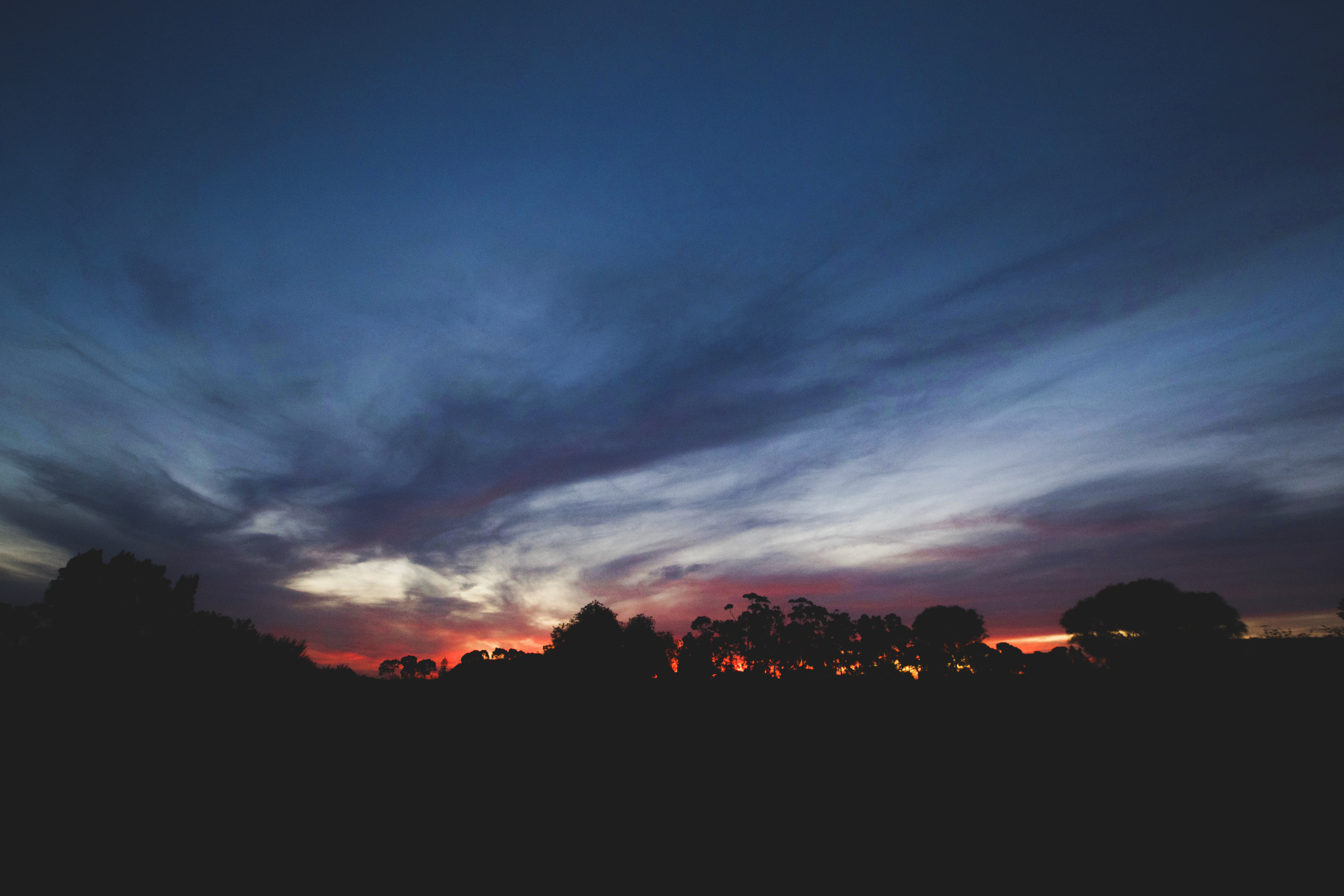 Téléchargez gratuitement l'image Coucher De Soleil, Silhouette, Arbre, Ciel, La Nature, Terre/nature sur le bureau de votre PC