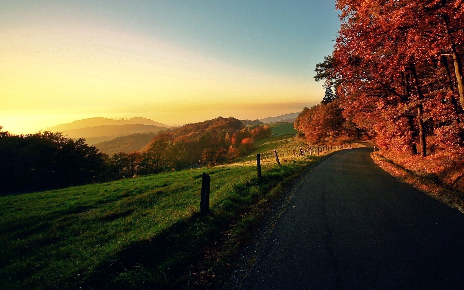 road, nature, autumn, turn, traffic, movement Panoramic Wallpaper