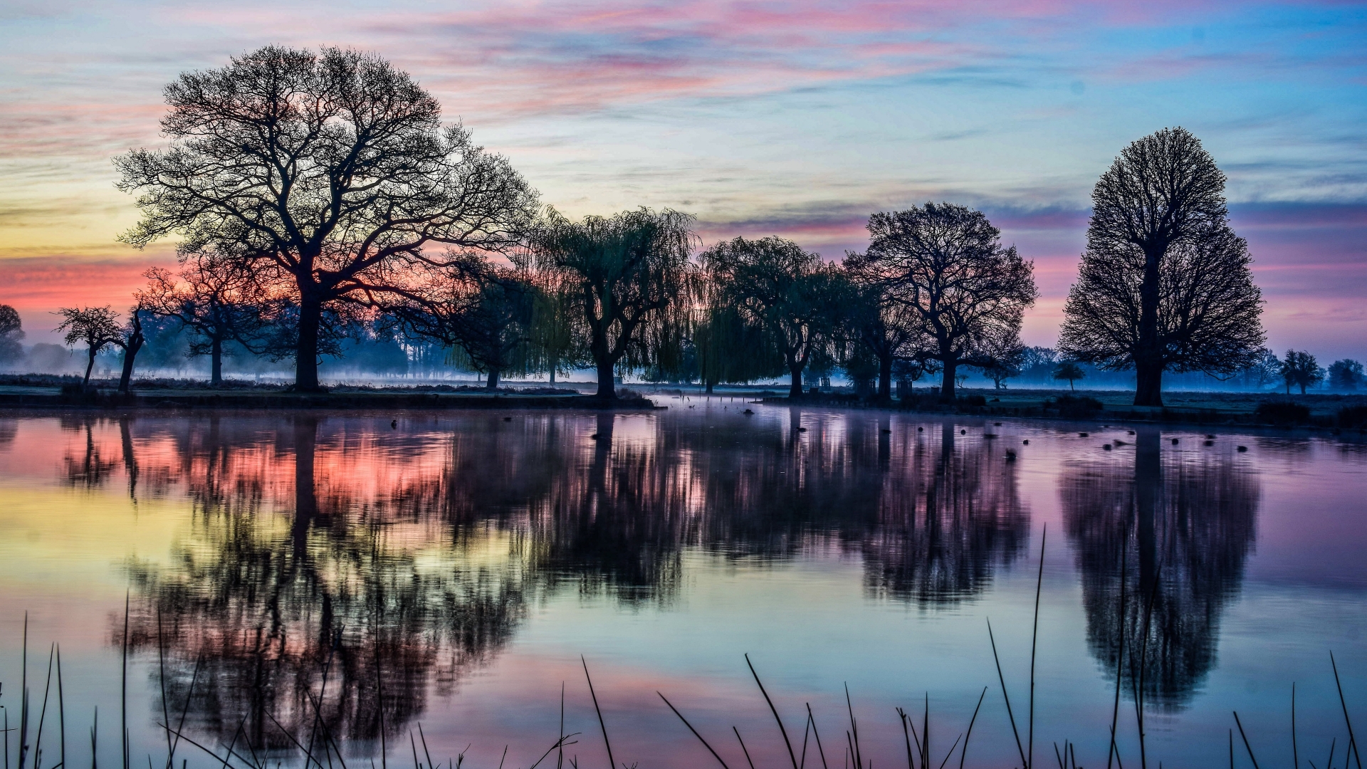 Download mobile wallpaper Sunset, Reflection, Park, Fog, Earth for free.