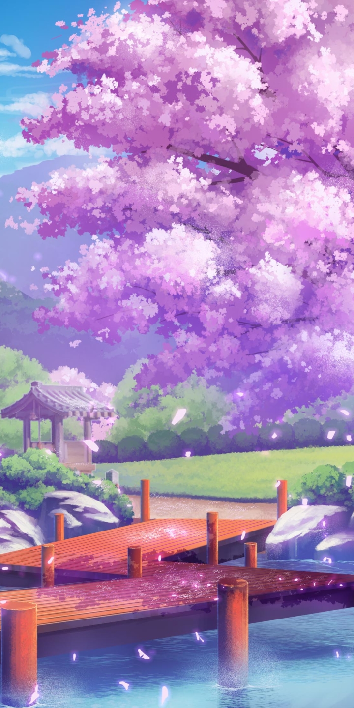 Baixar papel de parede para celular de Anime, Água, Sakura, Dr House gratuito.