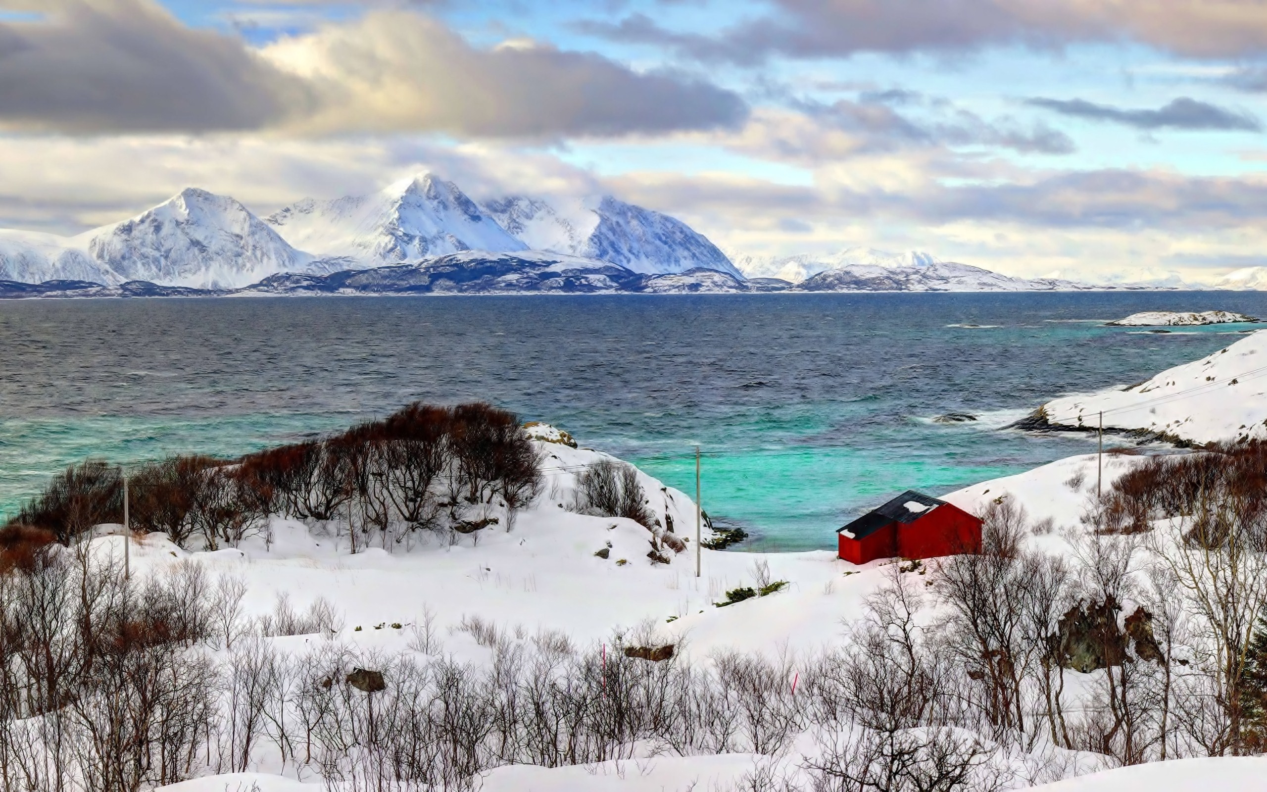 Descarga gratis la imagen Invierno, Tierra/naturaleza en el escritorio de tu PC