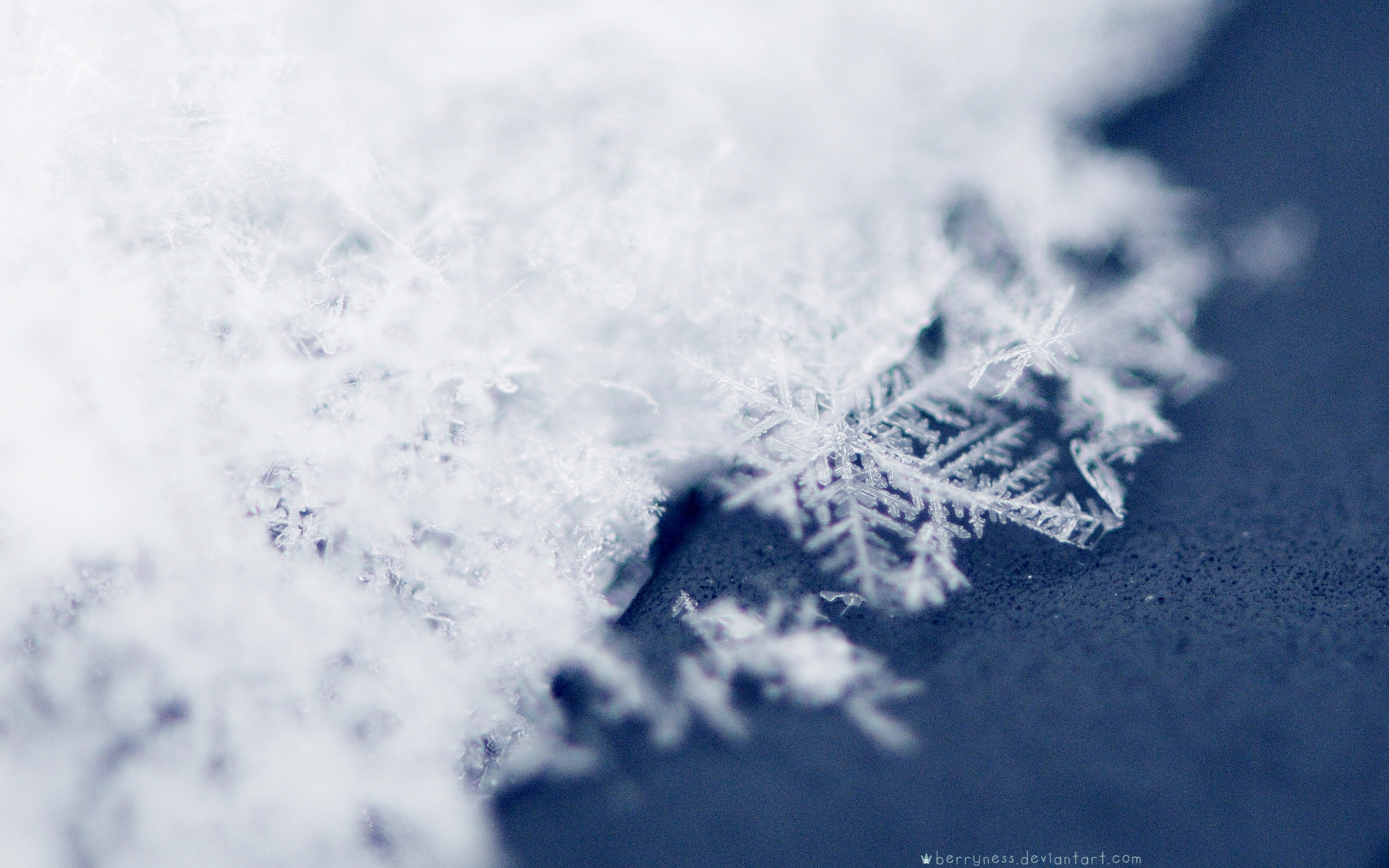 Скачать картинку Снежинка, Земля/природа в телефон бесплатно.