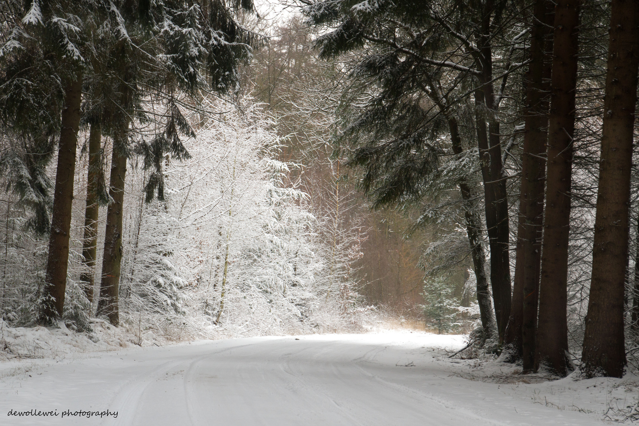 Téléchargez gratuitement l'image Hiver, Terre/nature sur le bureau de votre PC