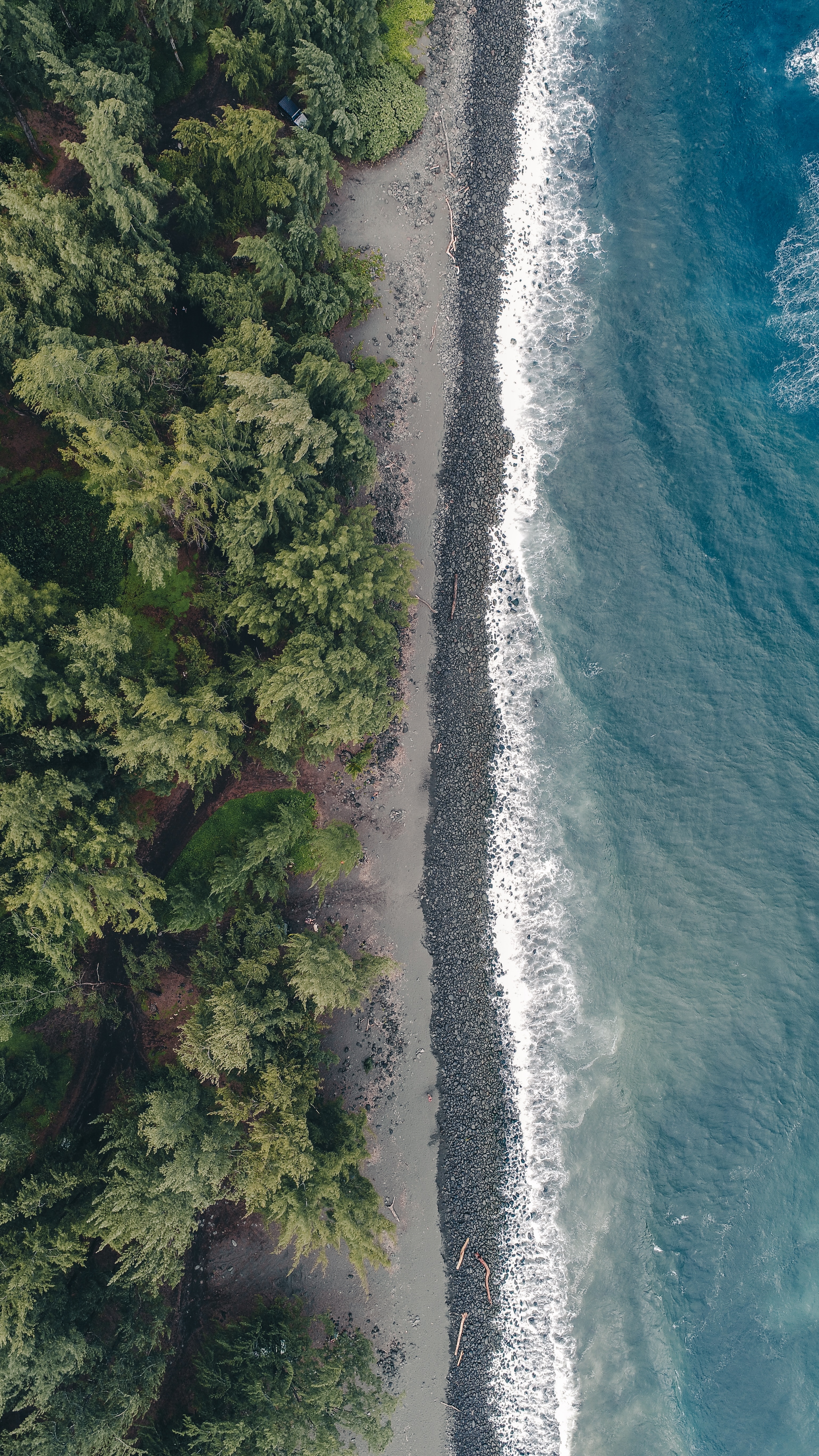 Free download wallpaper Trees, Nature, Water, View From Above, Coast, Beach on your PC desktop