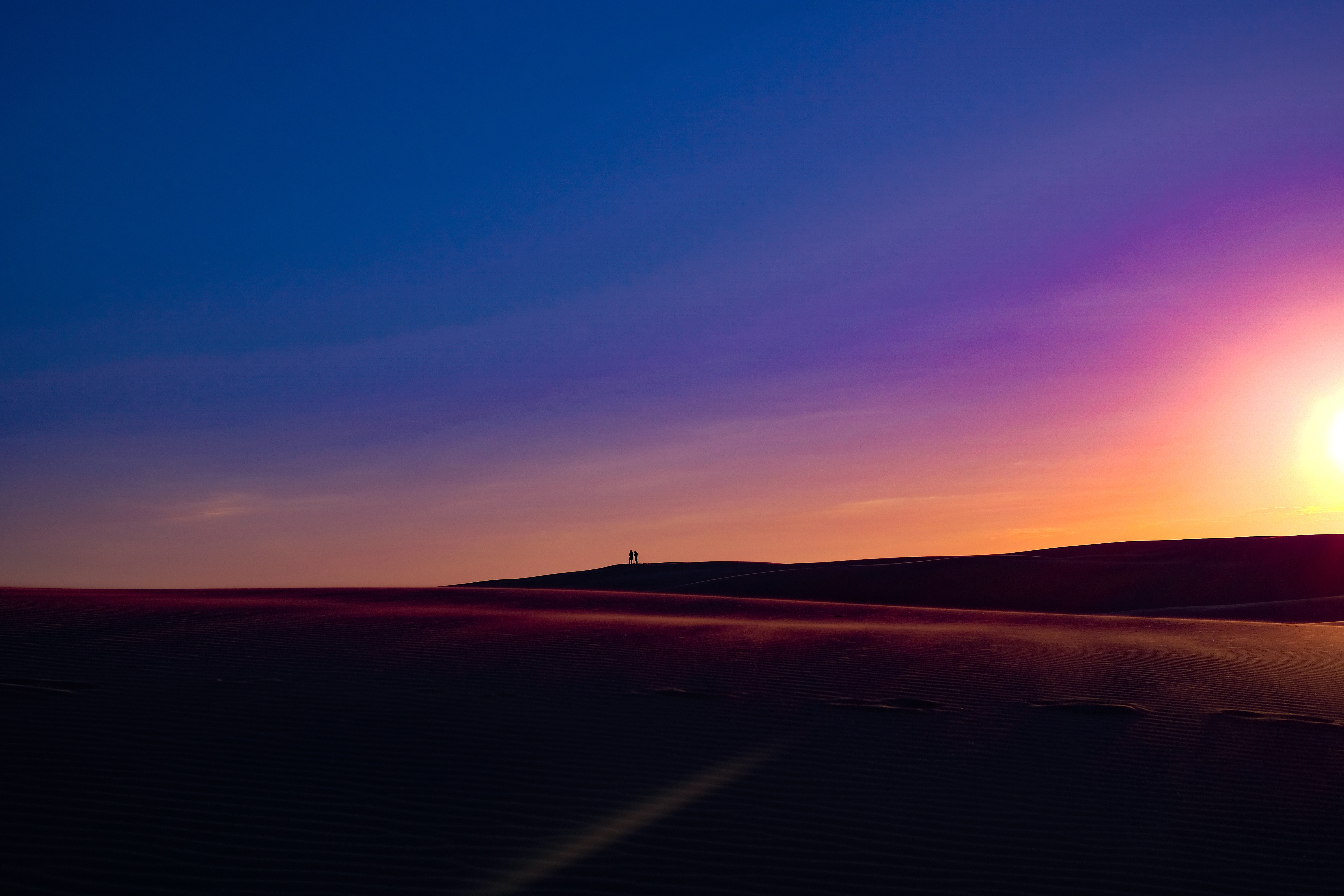 links, silhouettes, nature, sunset, sand, horizon, dunes, australia
