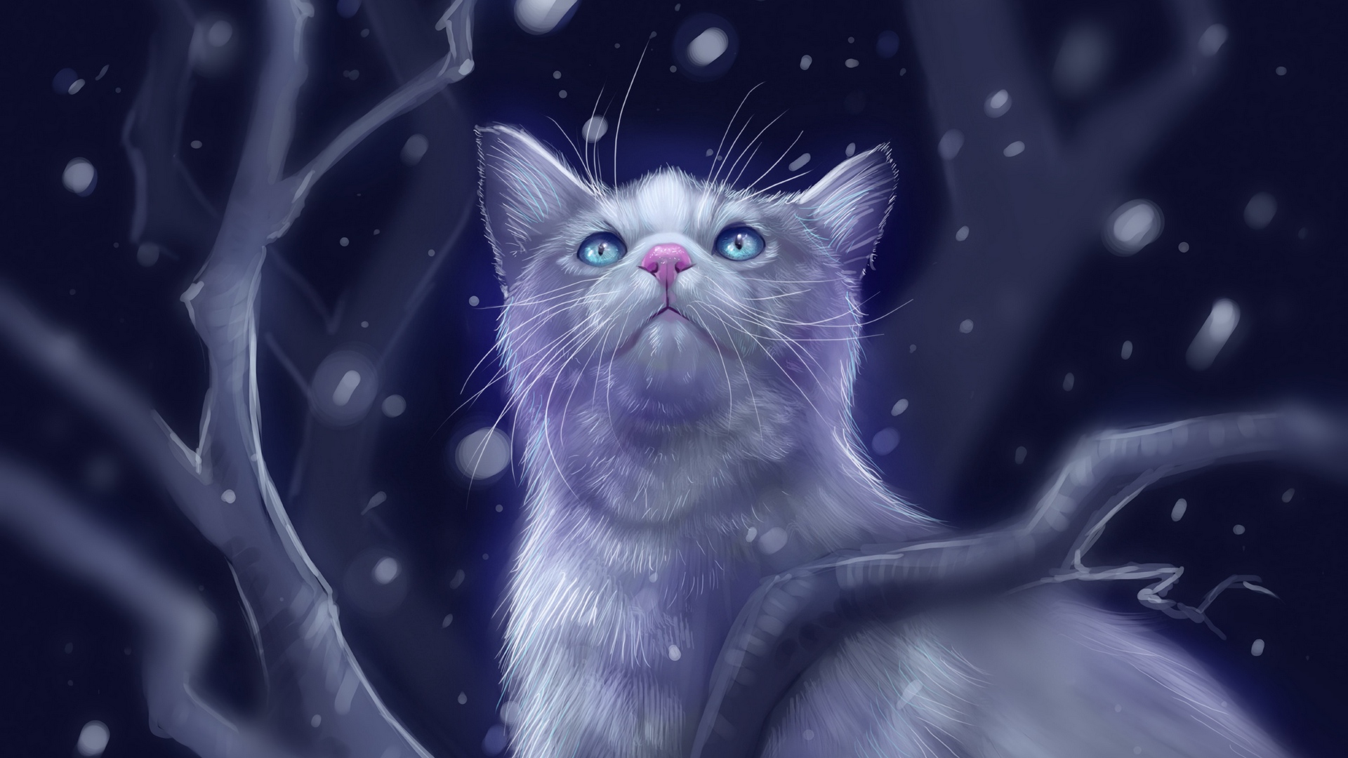 Free download wallpaper Fantasy, Night, Cat, Fantasy Animals on your PC desktop