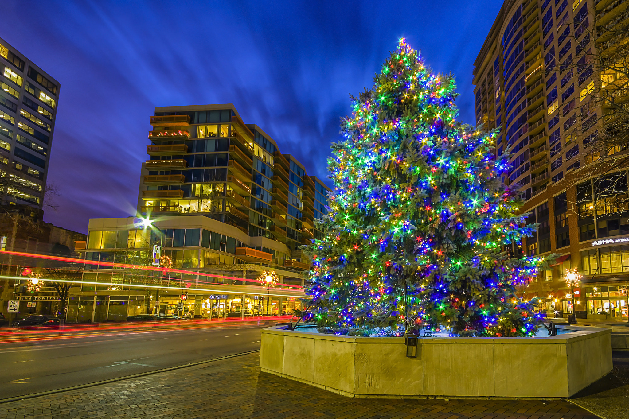 Download mobile wallpaper City, Light, Christmas, Holiday, Christmas Tree for free.