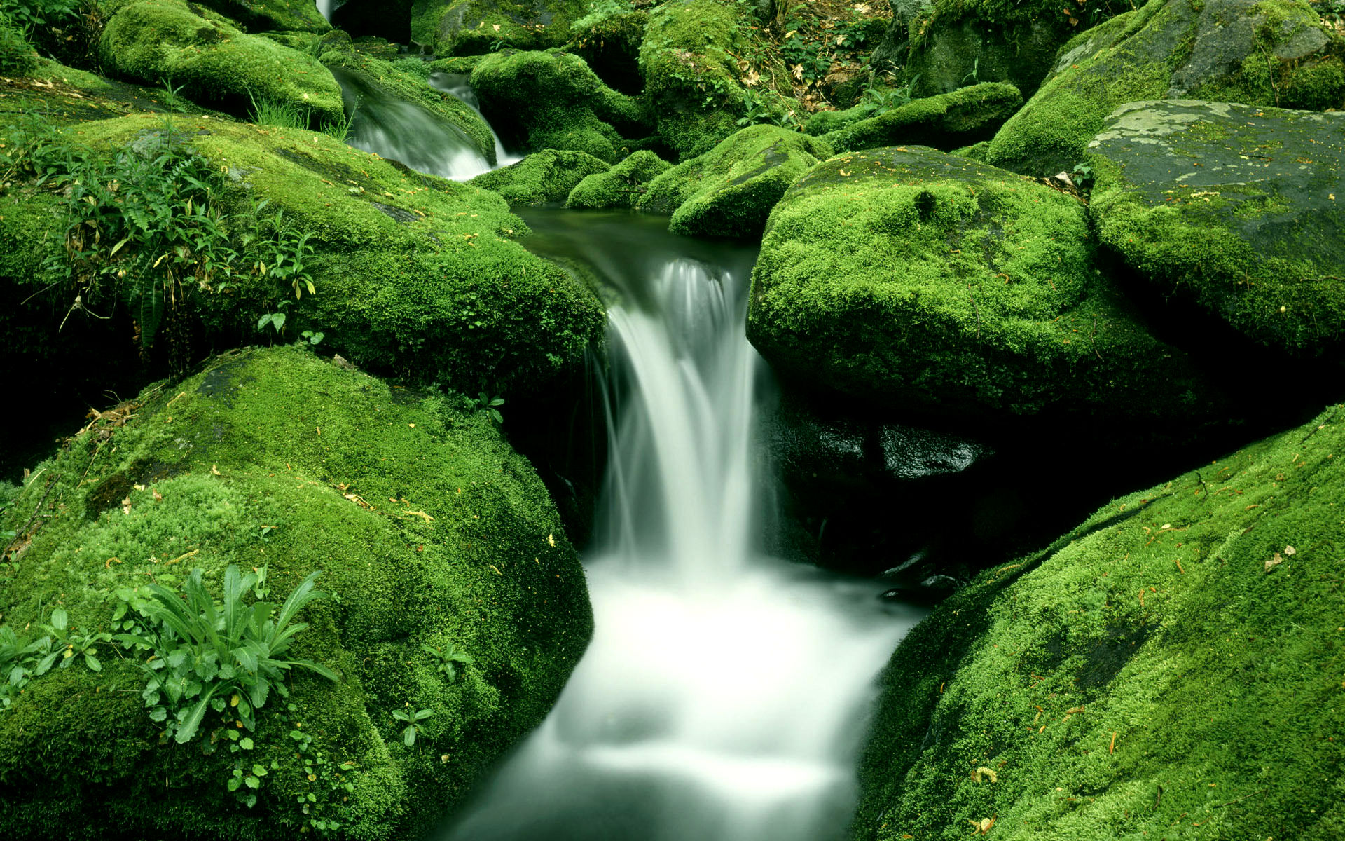 Download mobile wallpaper Stream, Moss, Waterfall, Waterfalls, Earth for free.