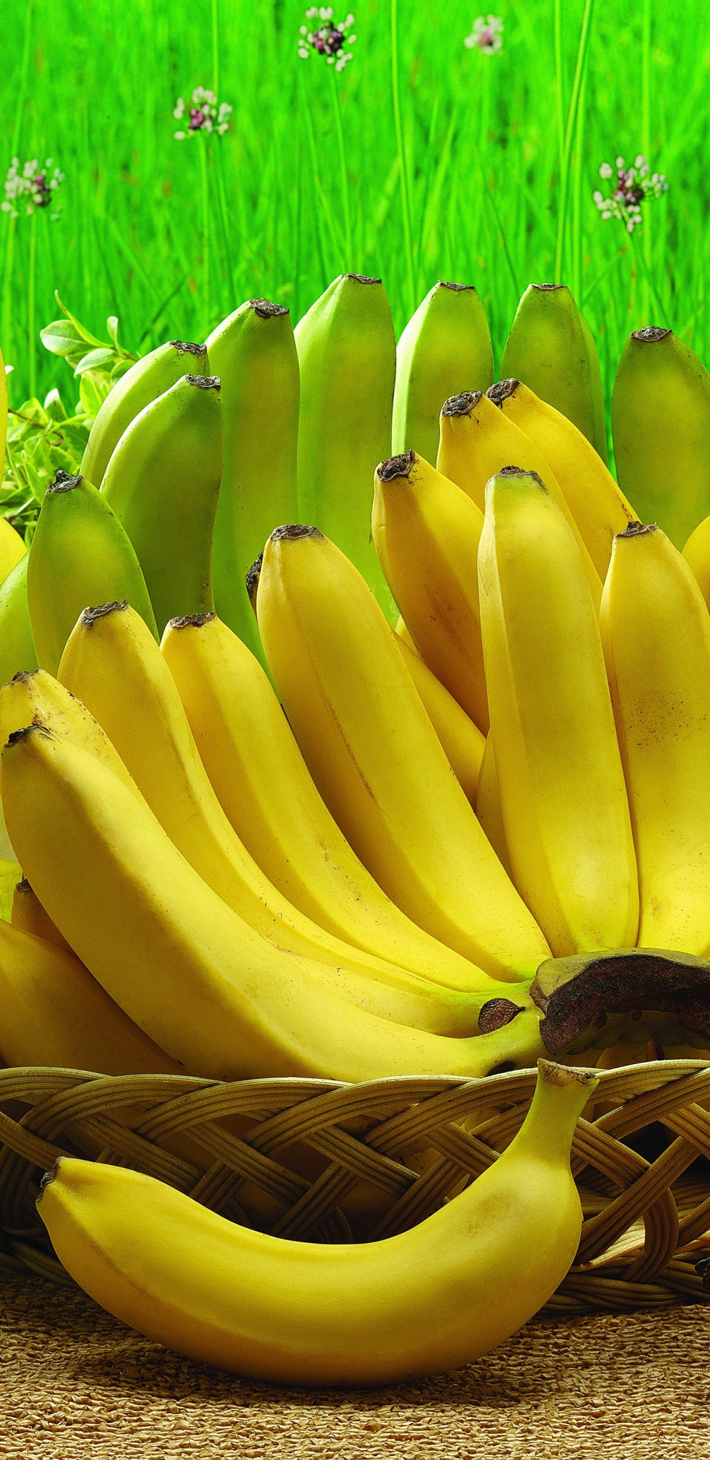 Download mobile wallpaper Fruits, Food, Banana for free.