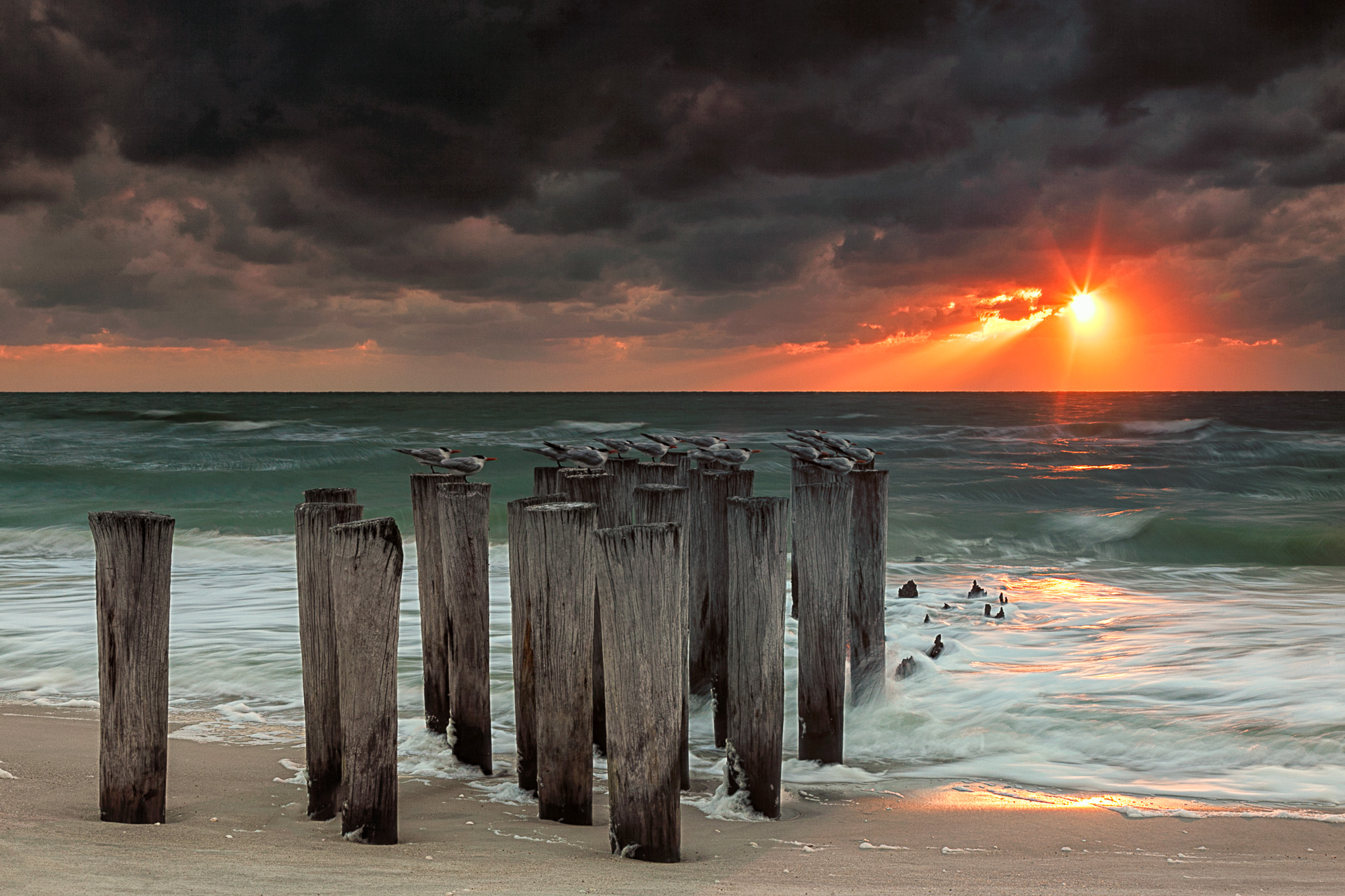 Download mobile wallpaper Sunset, Sky, Sea, Beach, Horizon, Bird, Ocean, Earth for free.