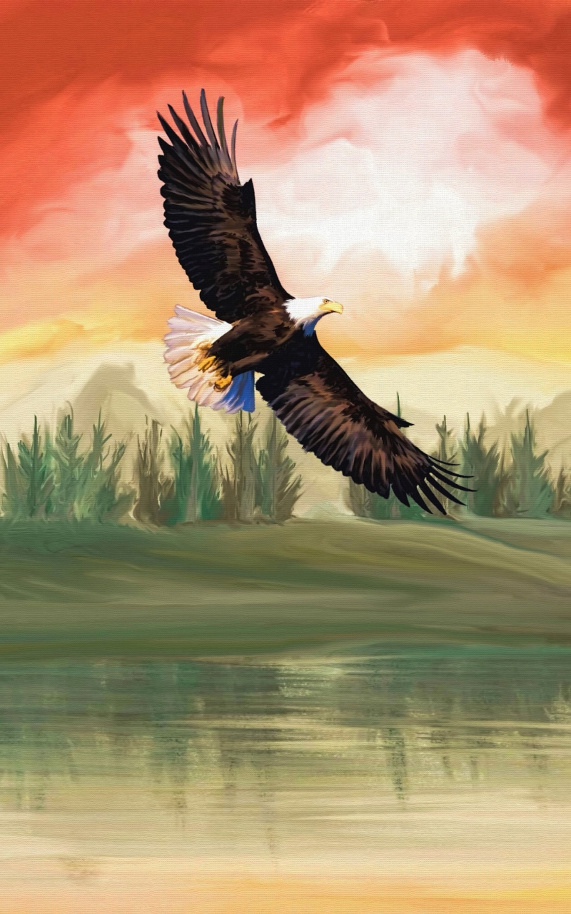 Download mobile wallpaper Landscape, Birds, Bird, Animal, Painting, Bald Eagle for free.