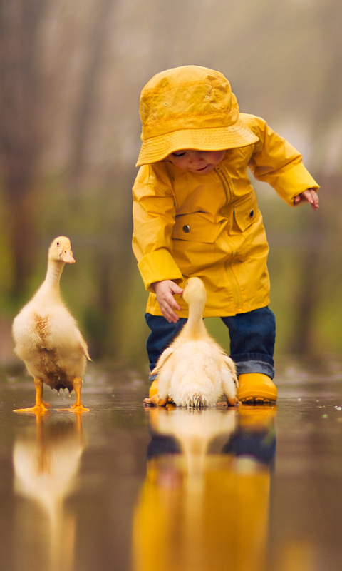 Download mobile wallpaper Reflection, Bird, Duck, Child, Cute, Photography, Depth Of Field for free.