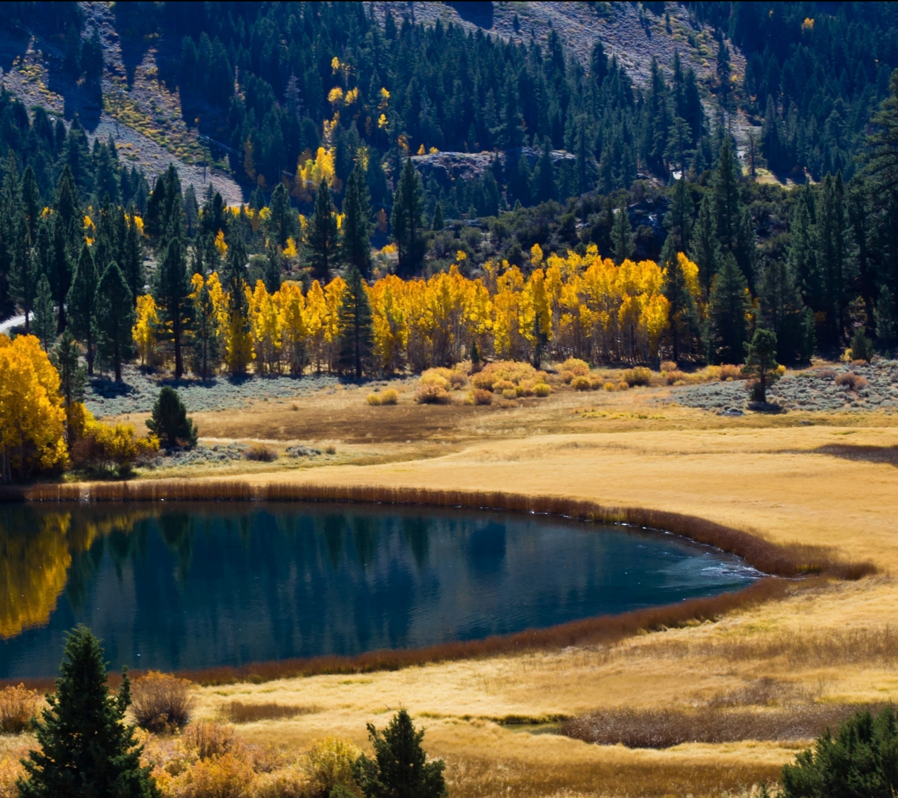 Baixe gratuitamente a imagem Paisagem, Montanha, Lago, Floresta, Terra/natureza na área de trabalho do seu PC