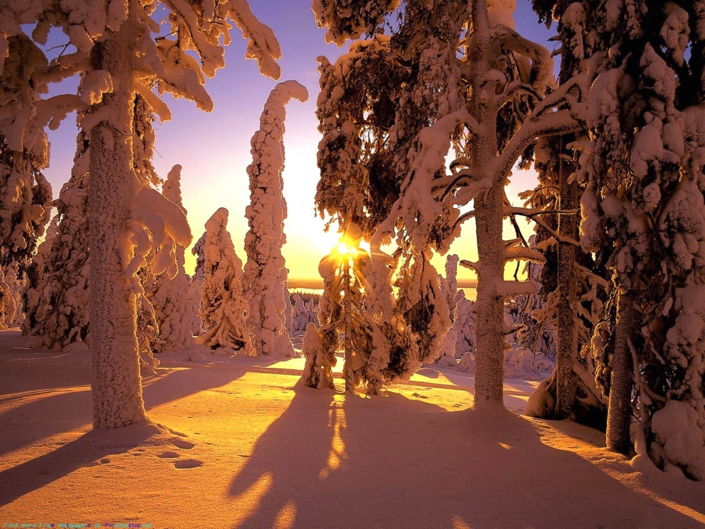 Скачать обои бесплатно Снег, Закат, Деревья, Пейзаж, Зима картинка на рабочий стол ПК