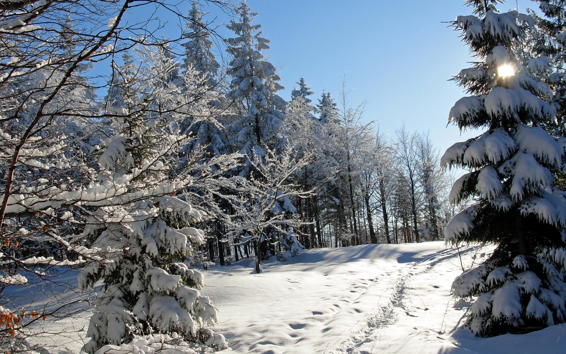 Handy-Wallpaper Winter, Erde/natur kostenlos herunterladen.