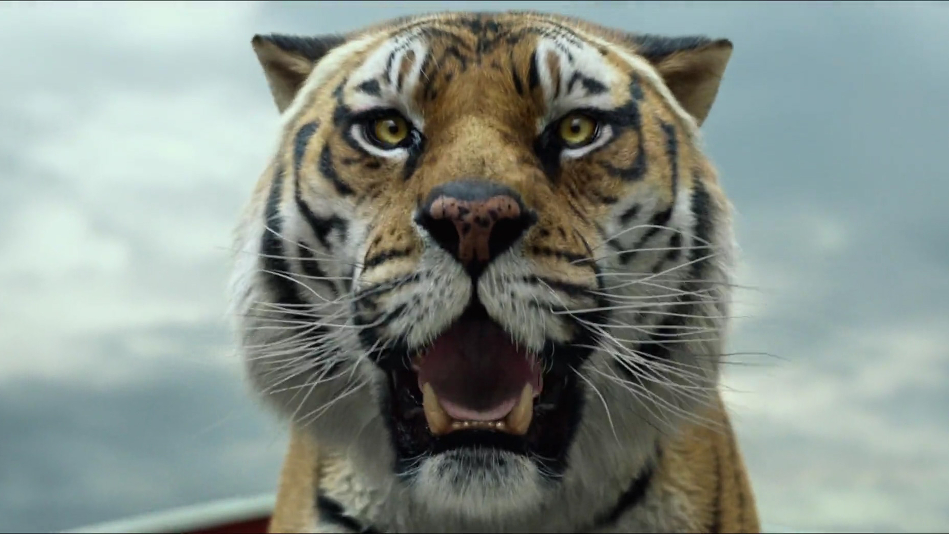 628904 Hintergrundbild herunterladen filme, life of pi: schiffbruch mit tiger, tiger - Bildschirmschoner und Bilder kostenlos