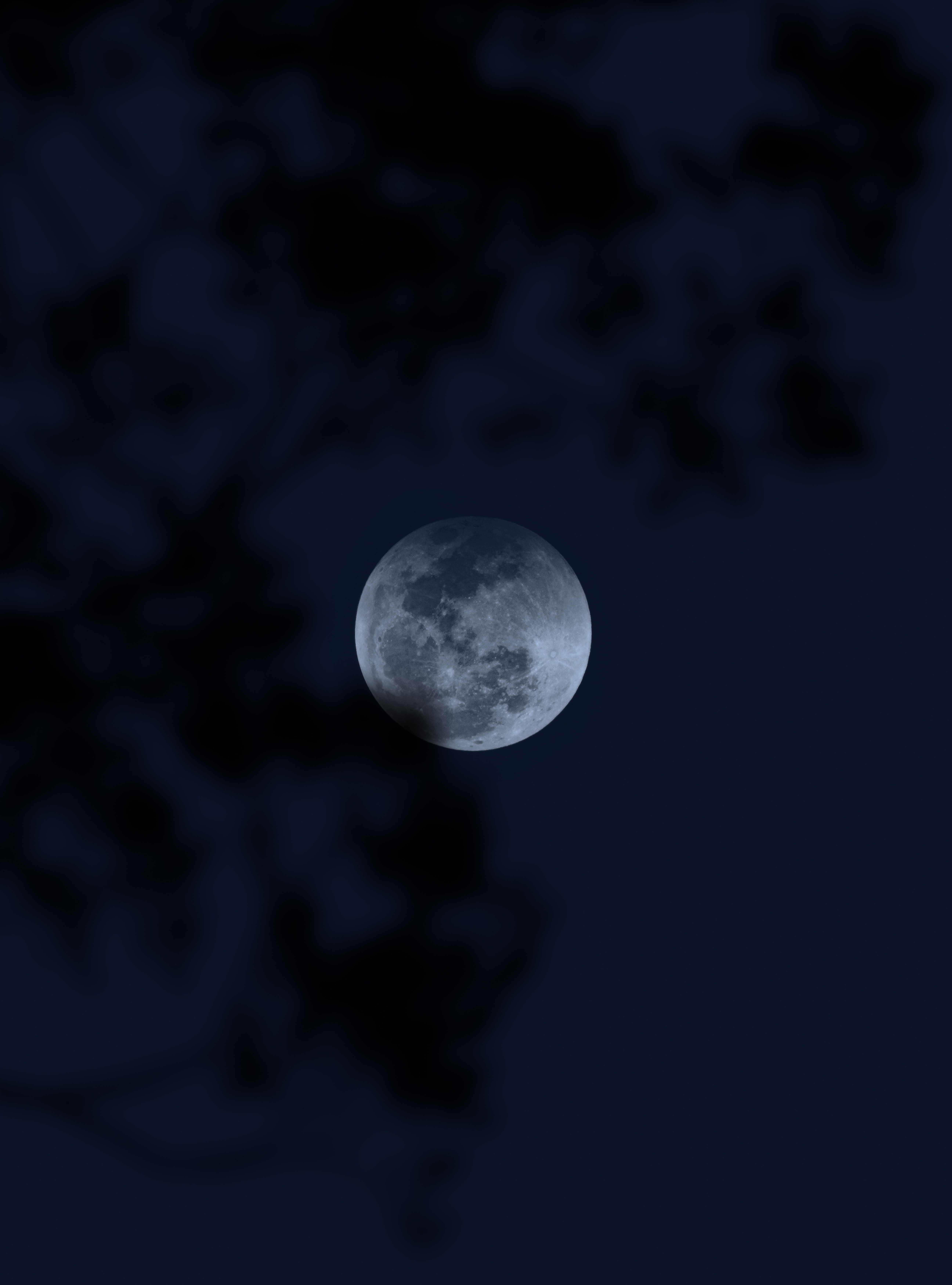 full moon, dark, darkness, moon, night Full HD