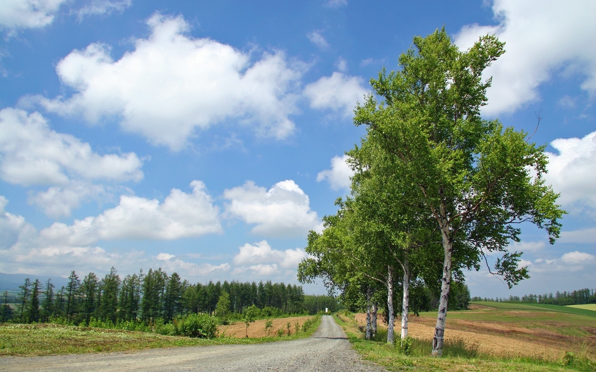 Download mobile wallpaper Roads, Trees, Landscape for free.